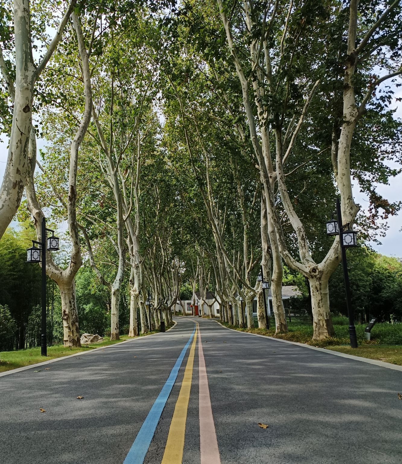 南京浦口凤凰山公园旅行图片 3