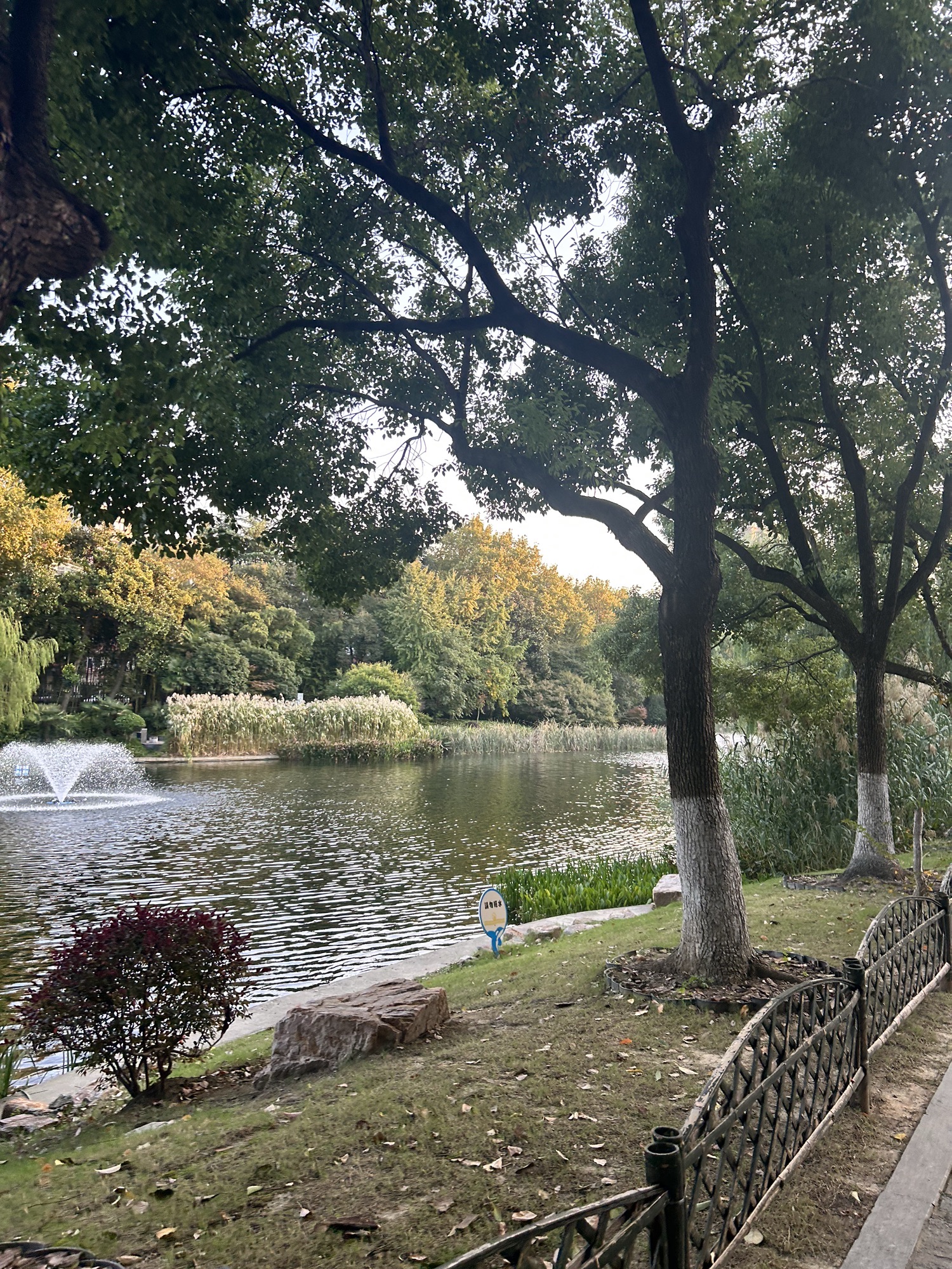 乌龙潭公园旅行图片 2