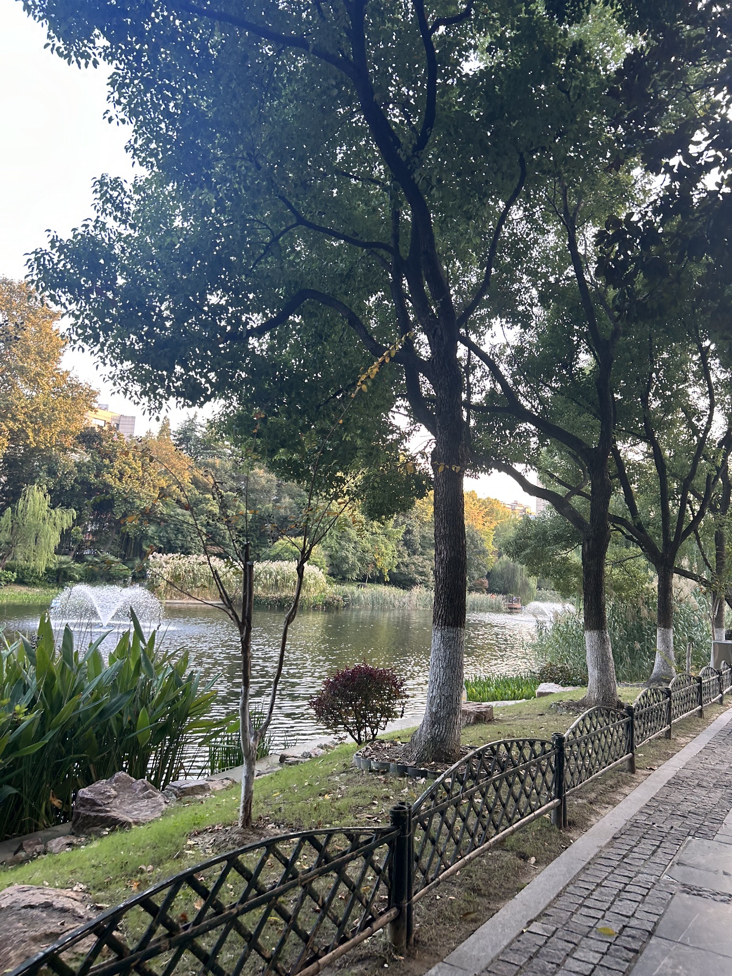 乌龙潭公园旅行图片 1
