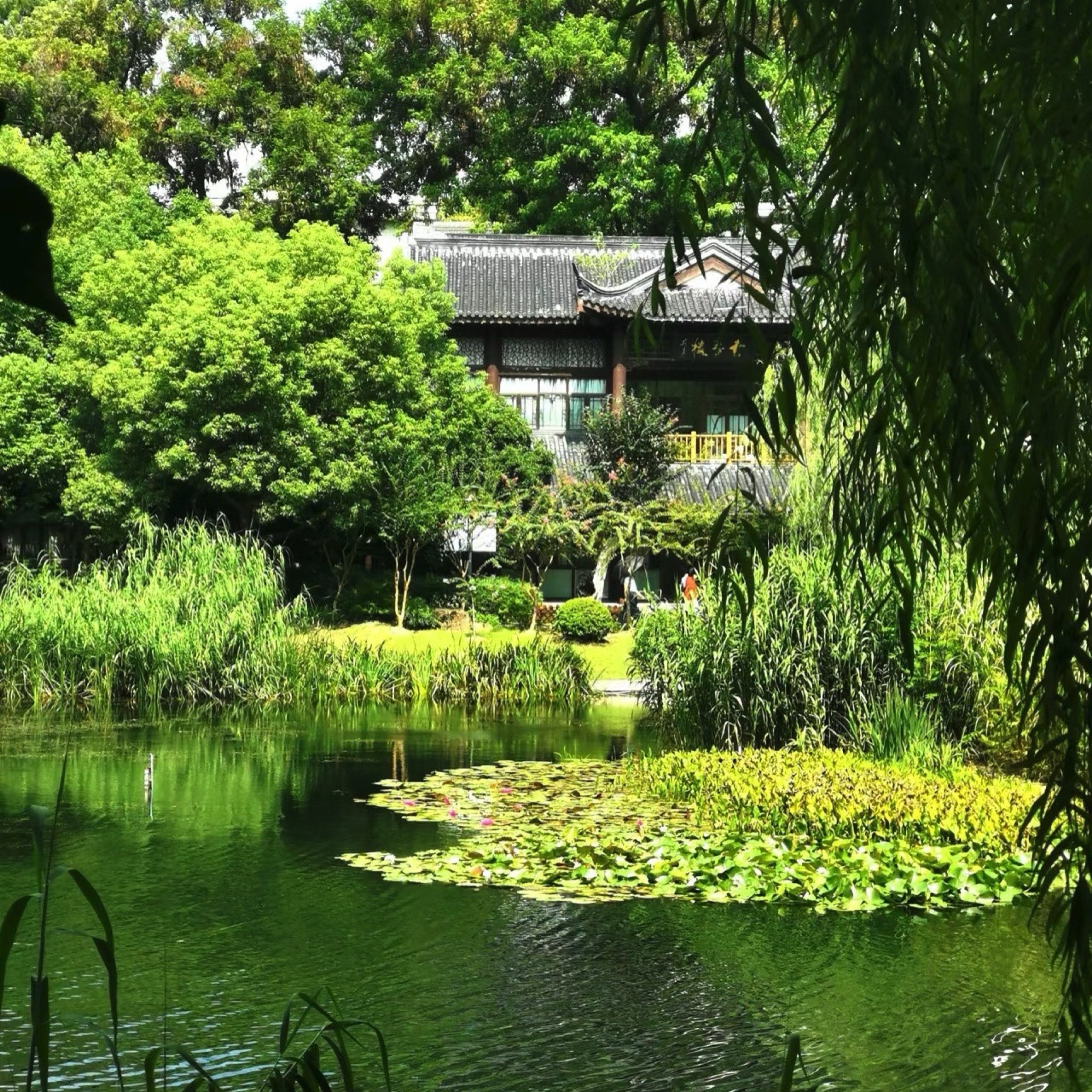 乌龙潭公园旅行图片 3