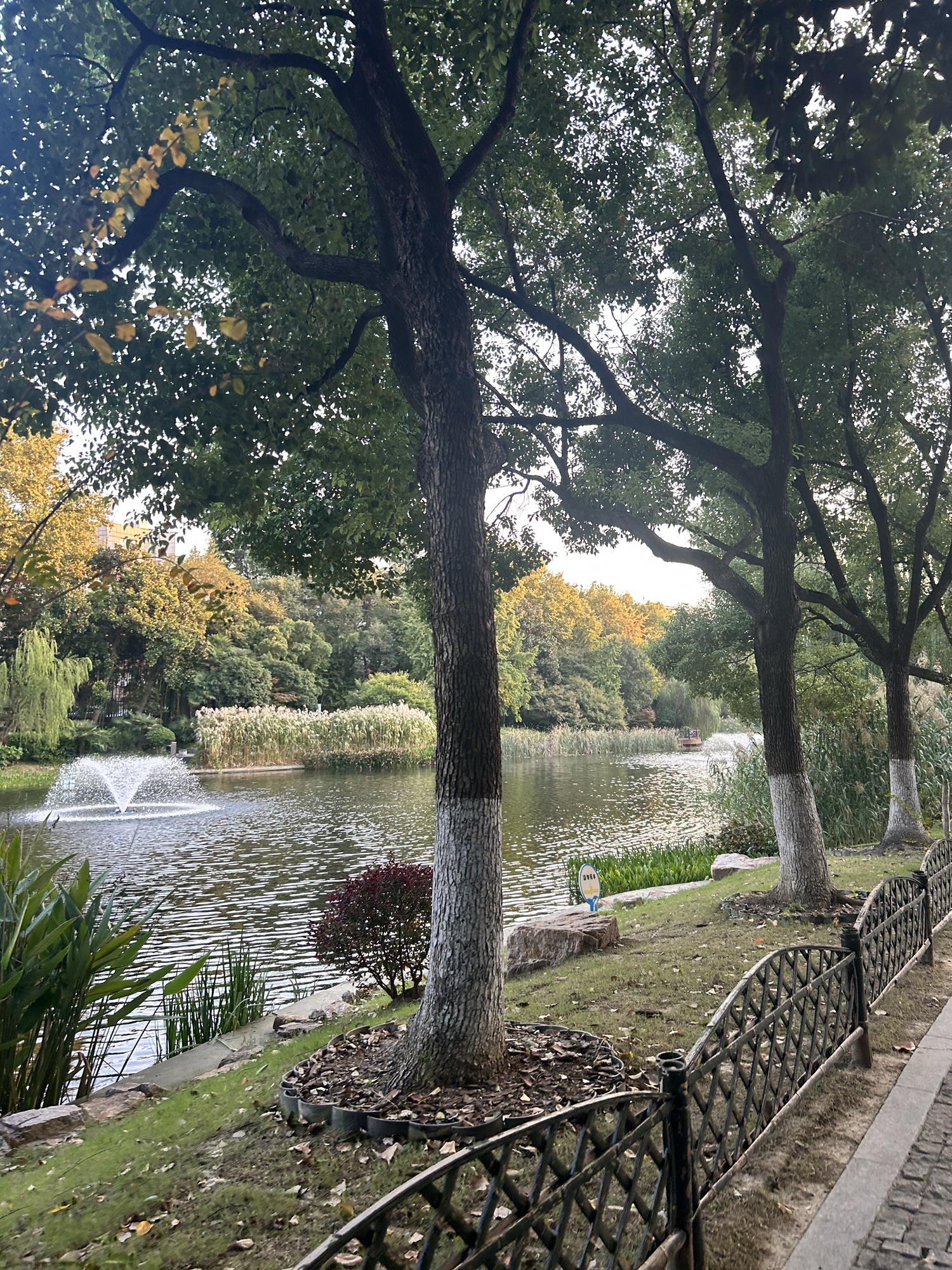 乌龙潭公园旅行图片 3