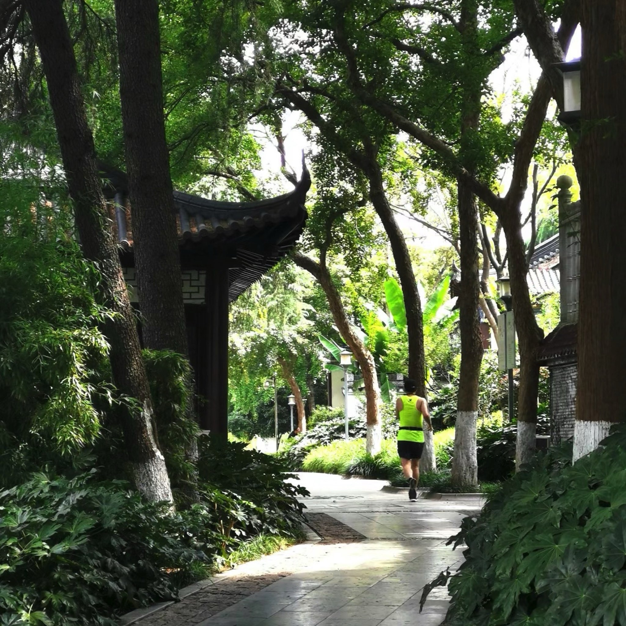 乌龙潭公园旅行图片 2