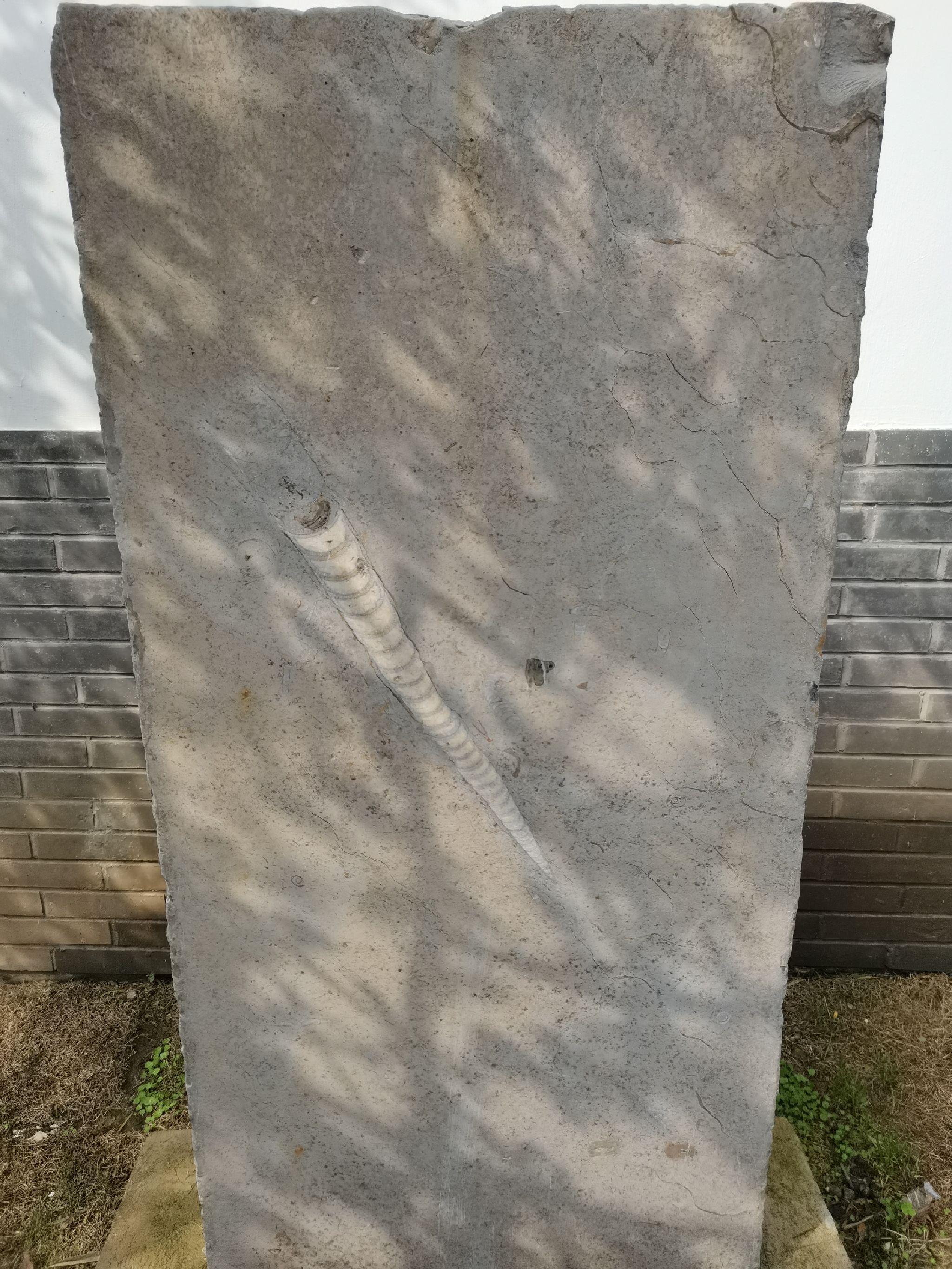 乌龙潭公园旅行图片 2