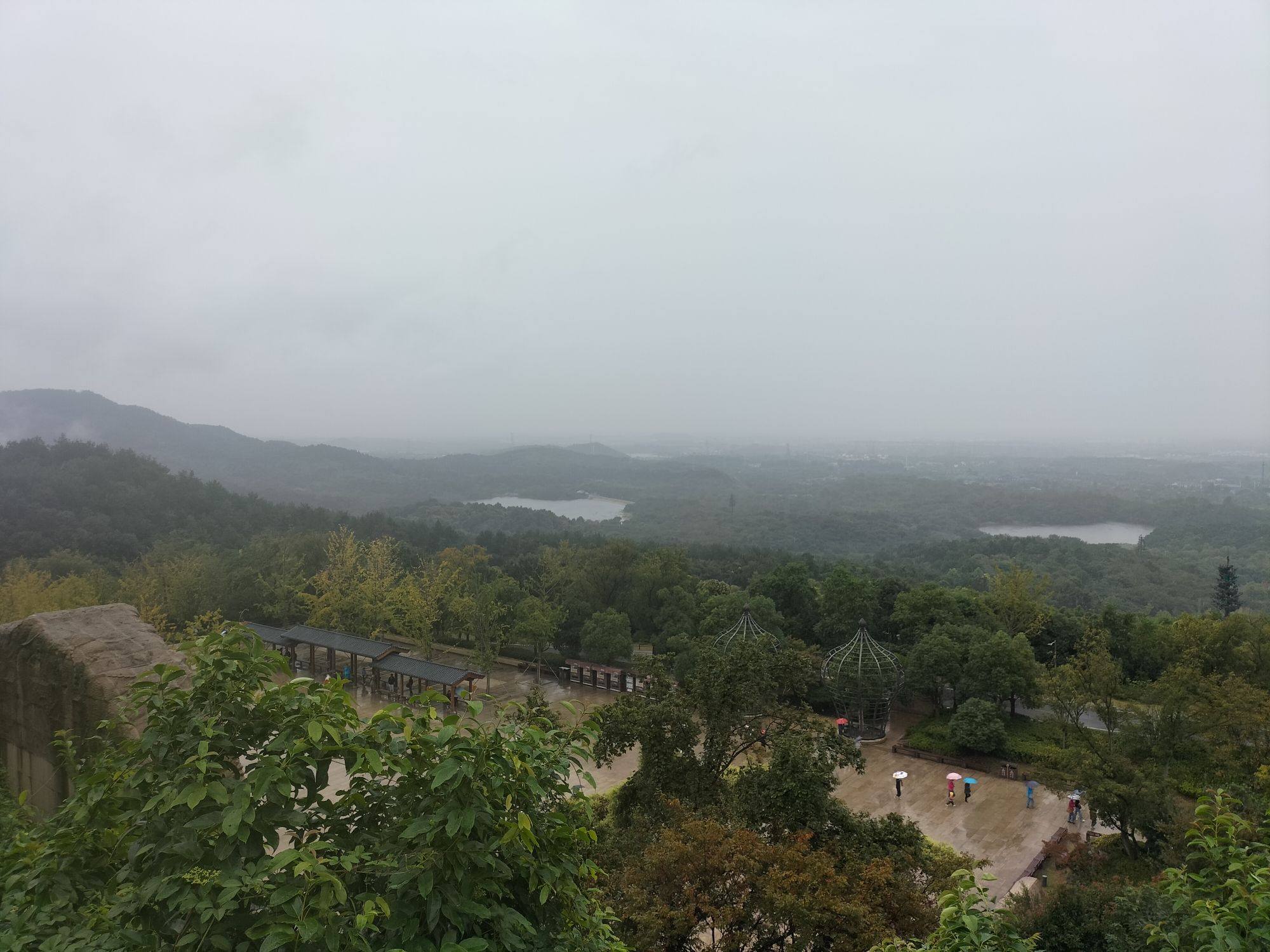 白马公园旅行图片 2