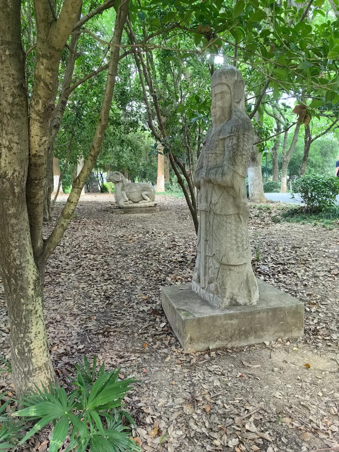 白马公园旅行图片 3