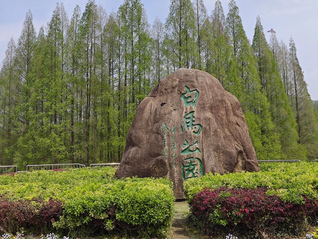 白马公园旅行图片 3