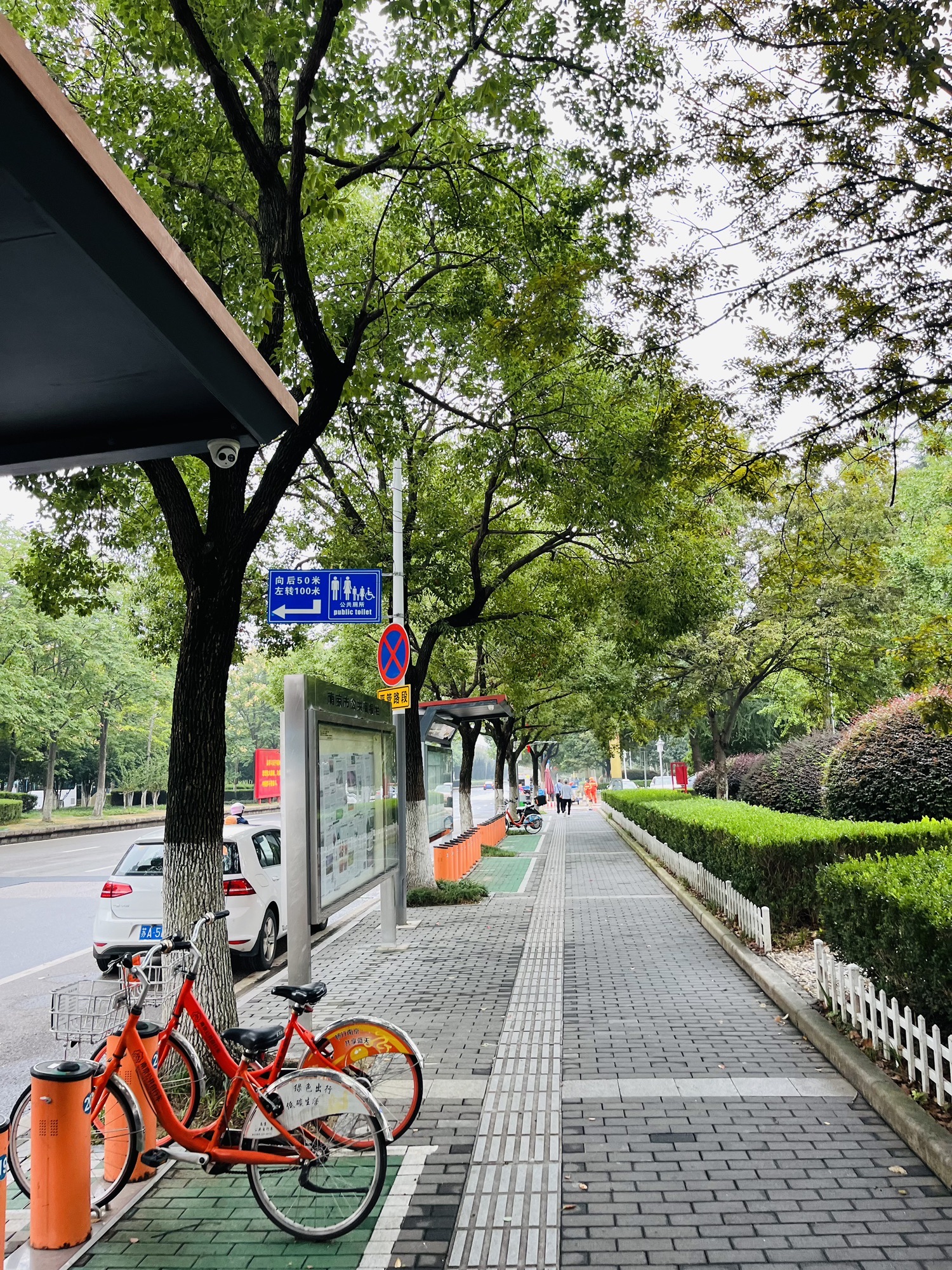 雨花广场旅行图片 2