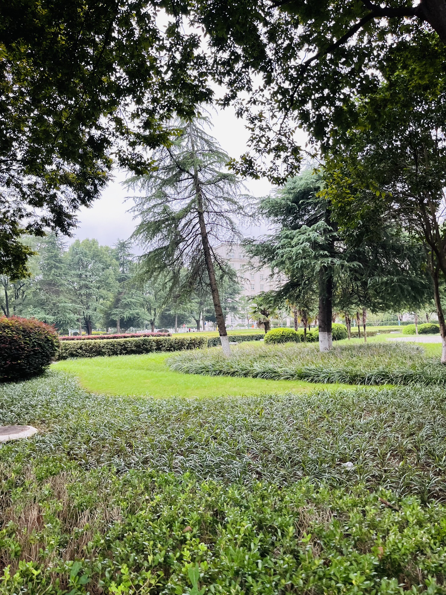 雨花广场旅行图片 3