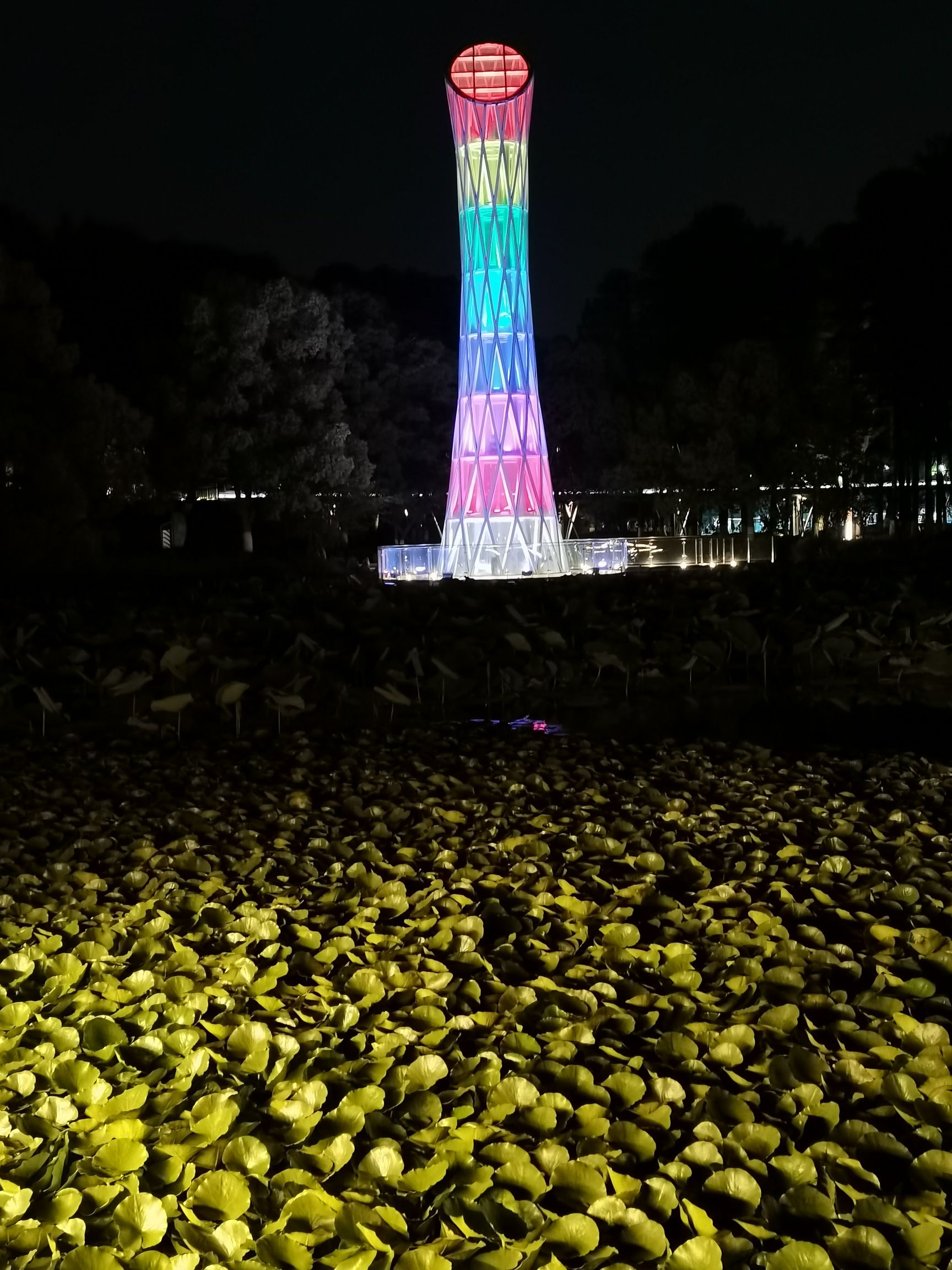 浦口公园旅行图片 1