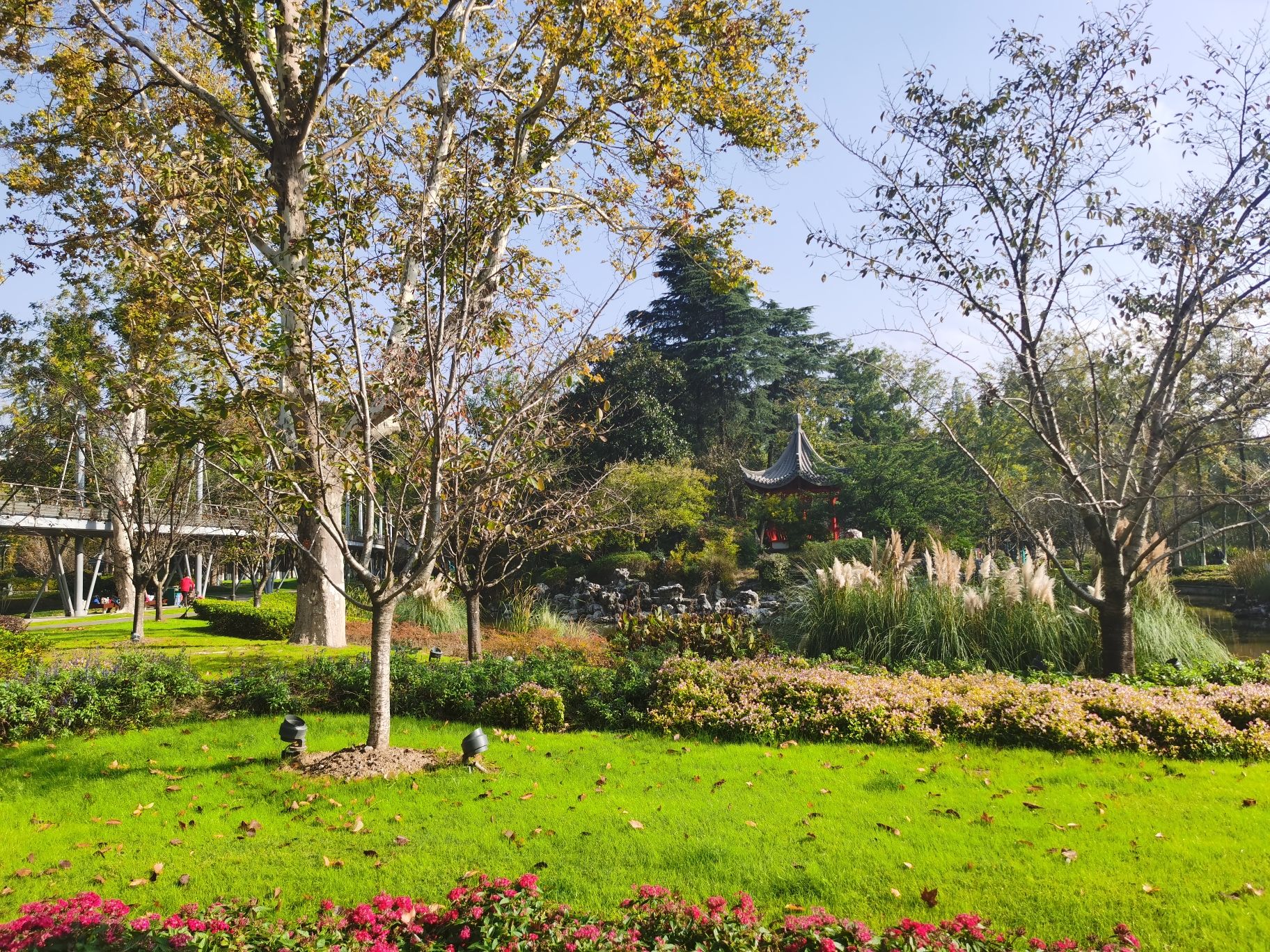 浦口公园旅行图片 1