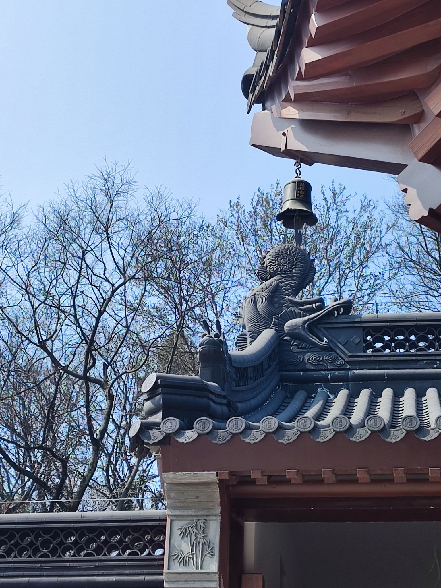 清凉山公园旅行图片 3