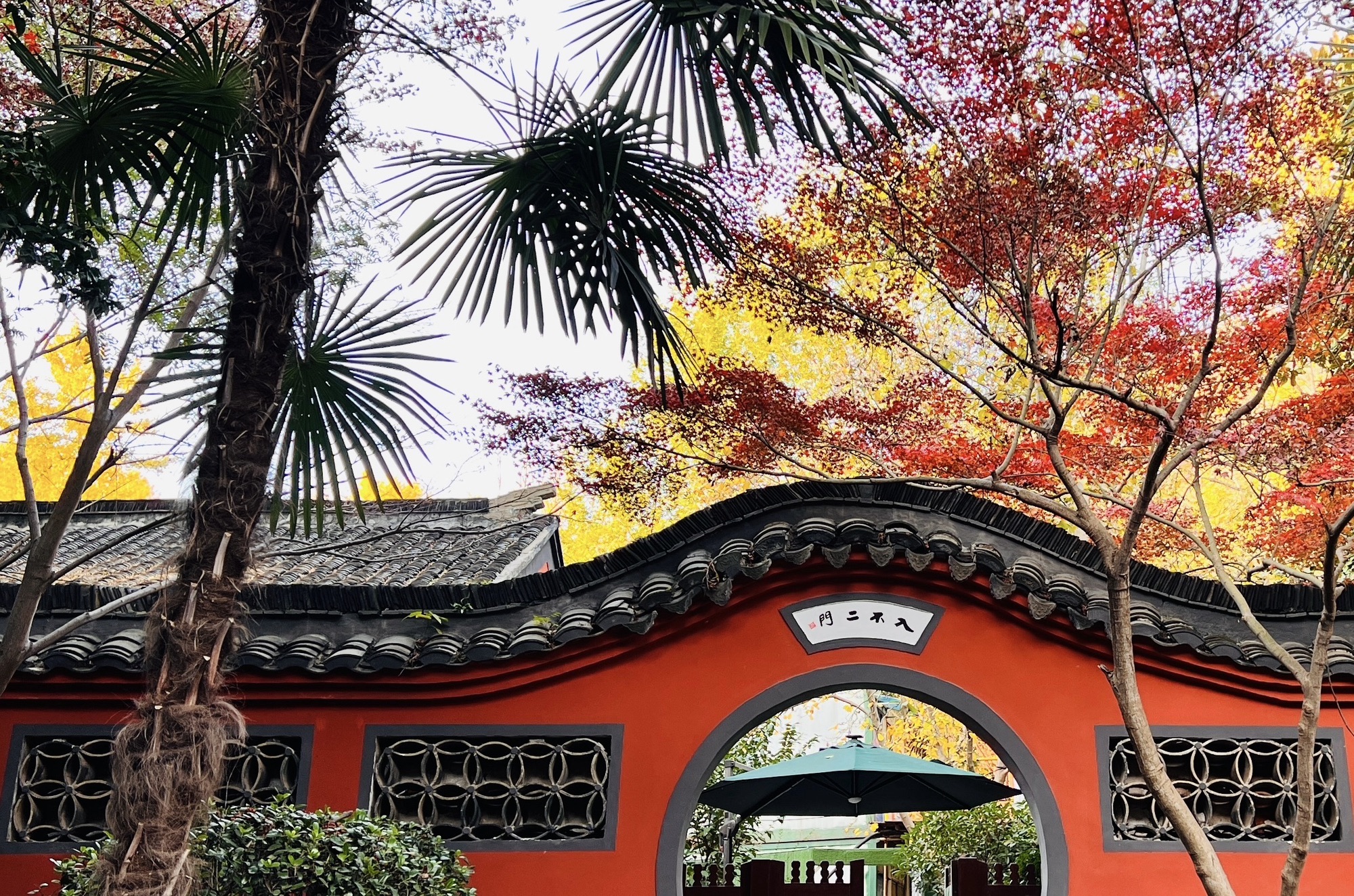 清凉山公园旅行图片 2