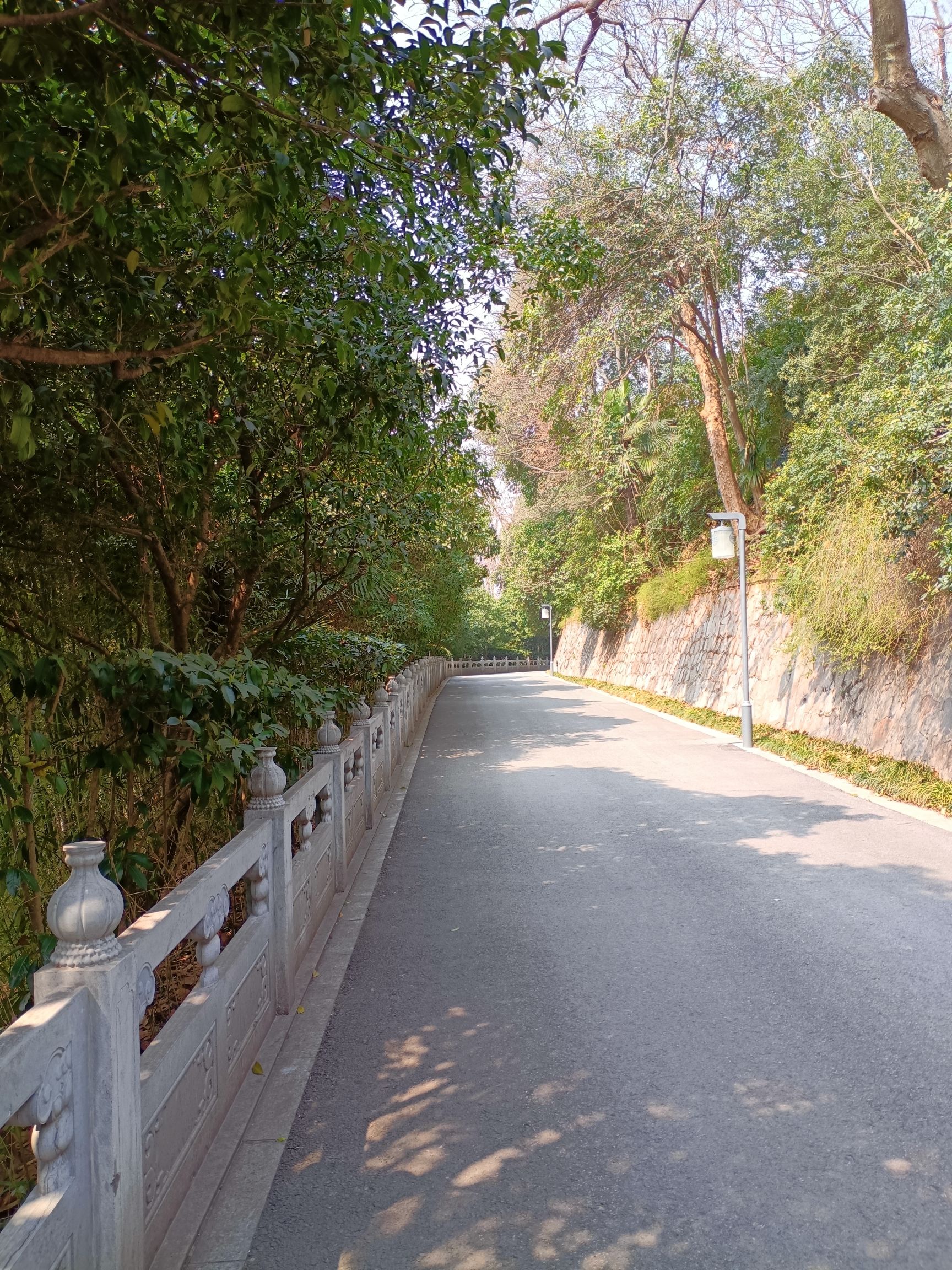 清凉山公园旅行图片 3