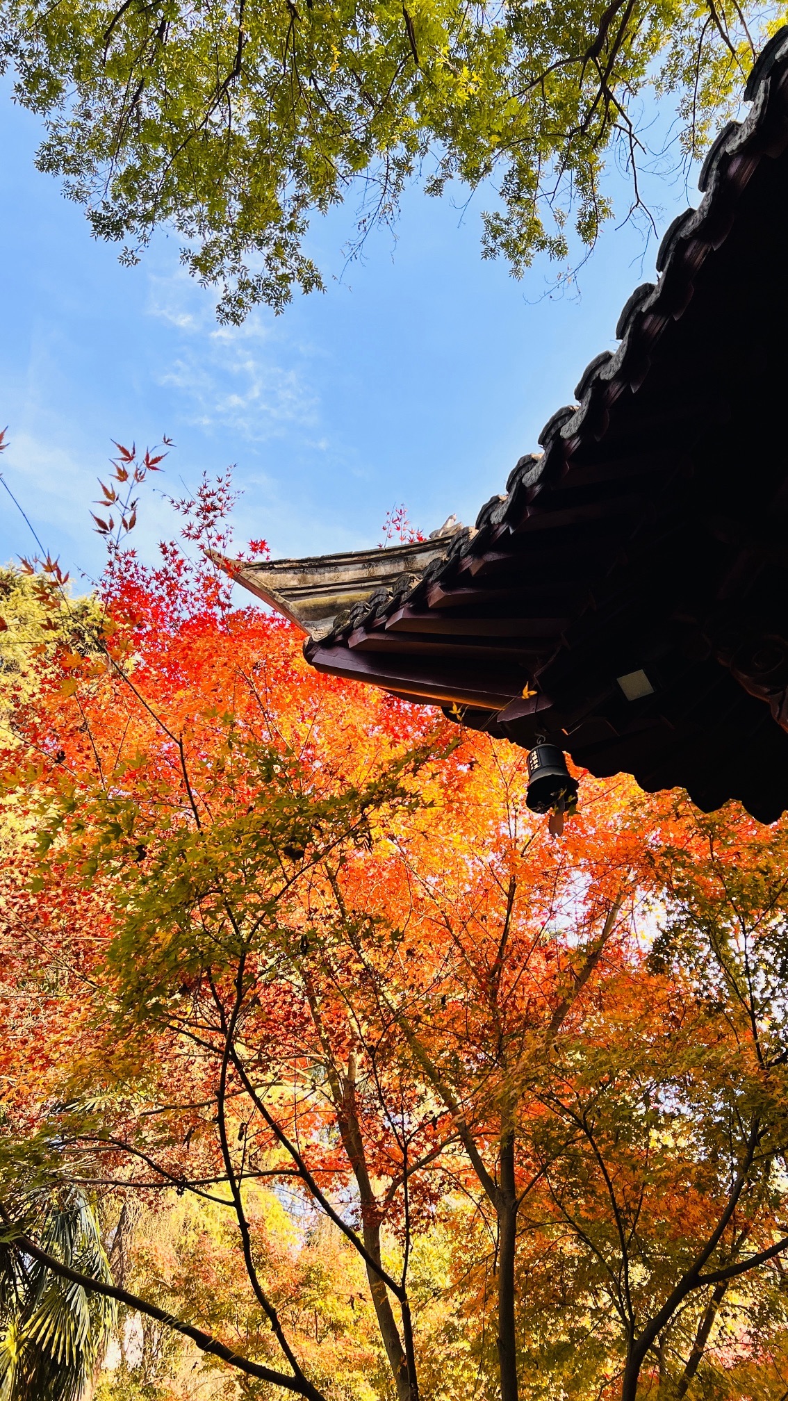 清凉山公园旅行图片 3