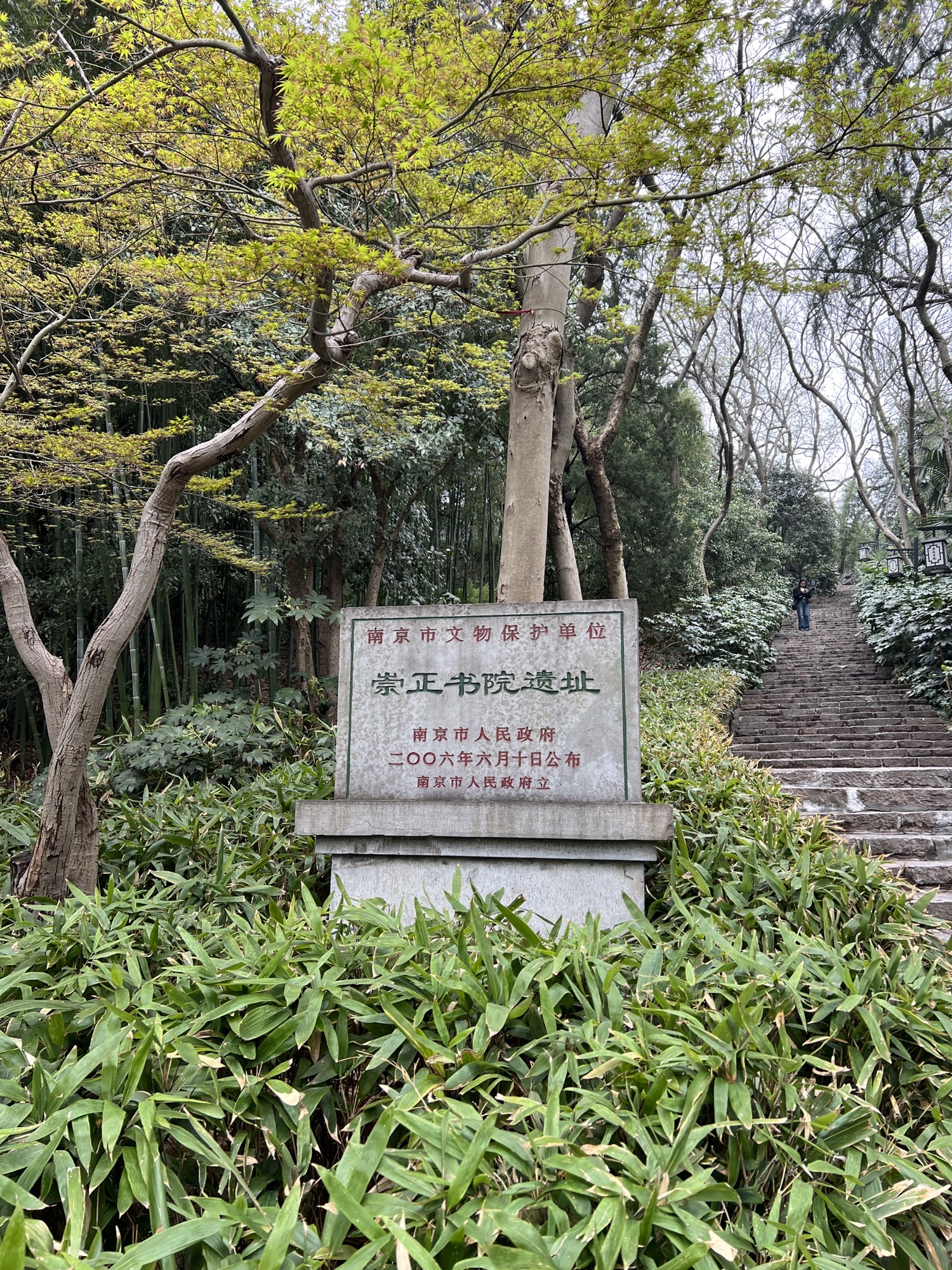 清凉山公园旅行图片 3