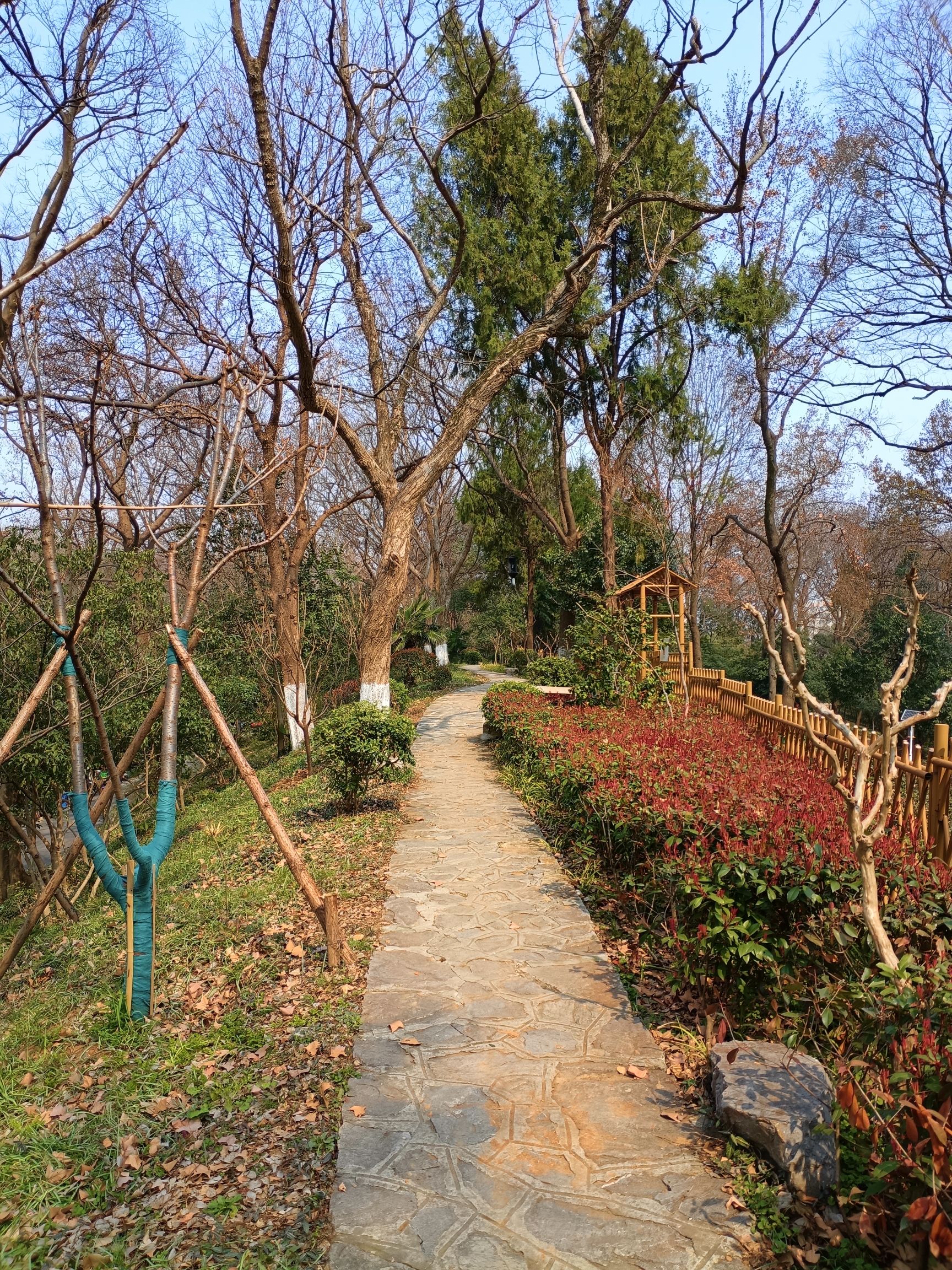 清凉山公园旅行图片 2