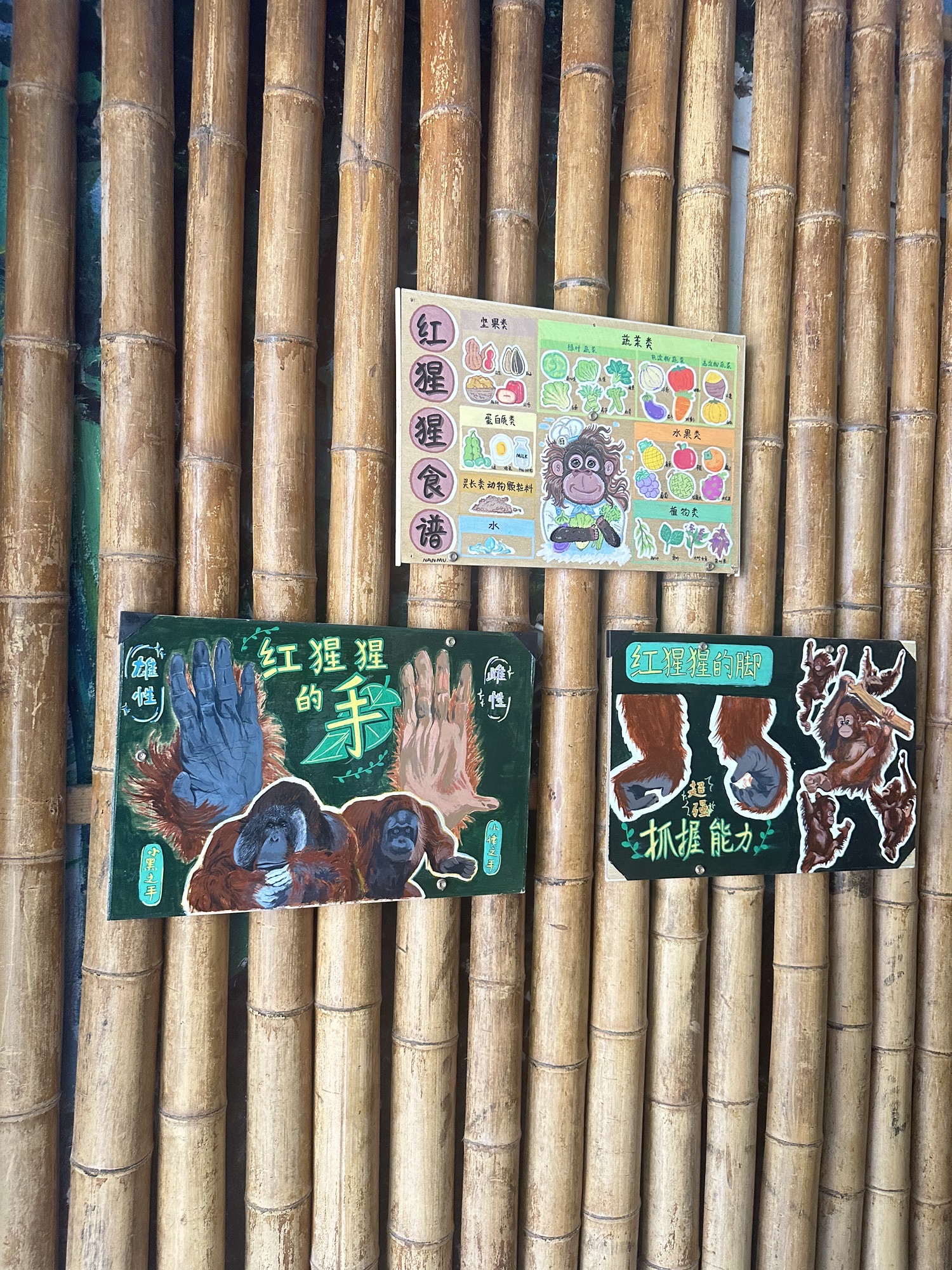 红山森林动物园旅行图片 3