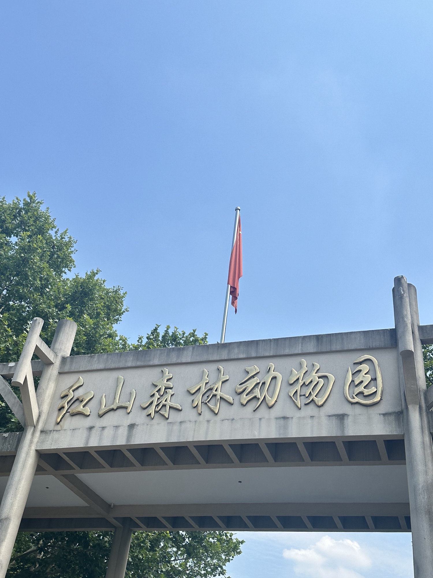 红山森林动物园旅行图片 2
