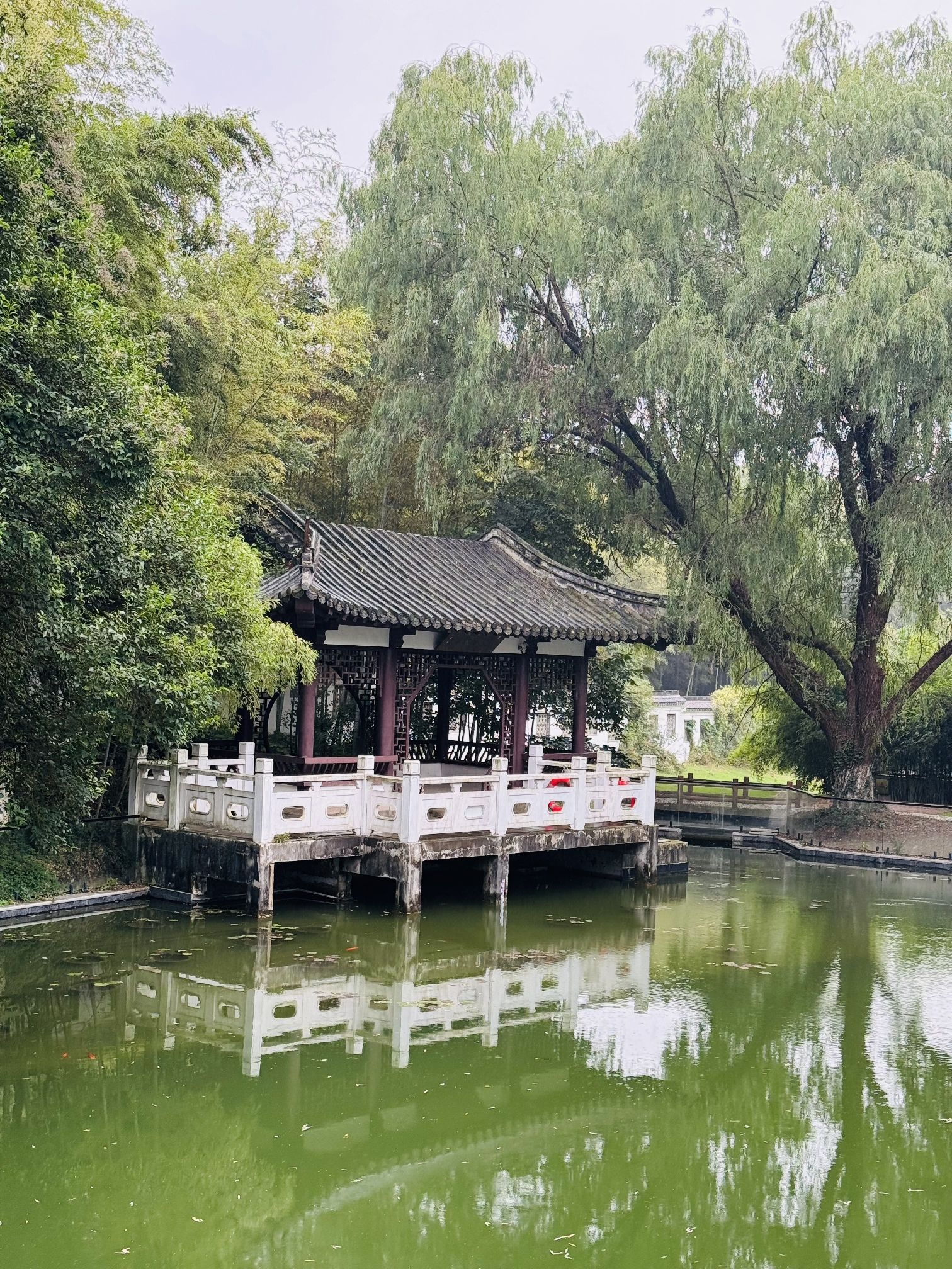 求雨山文化公园旅行图片 1