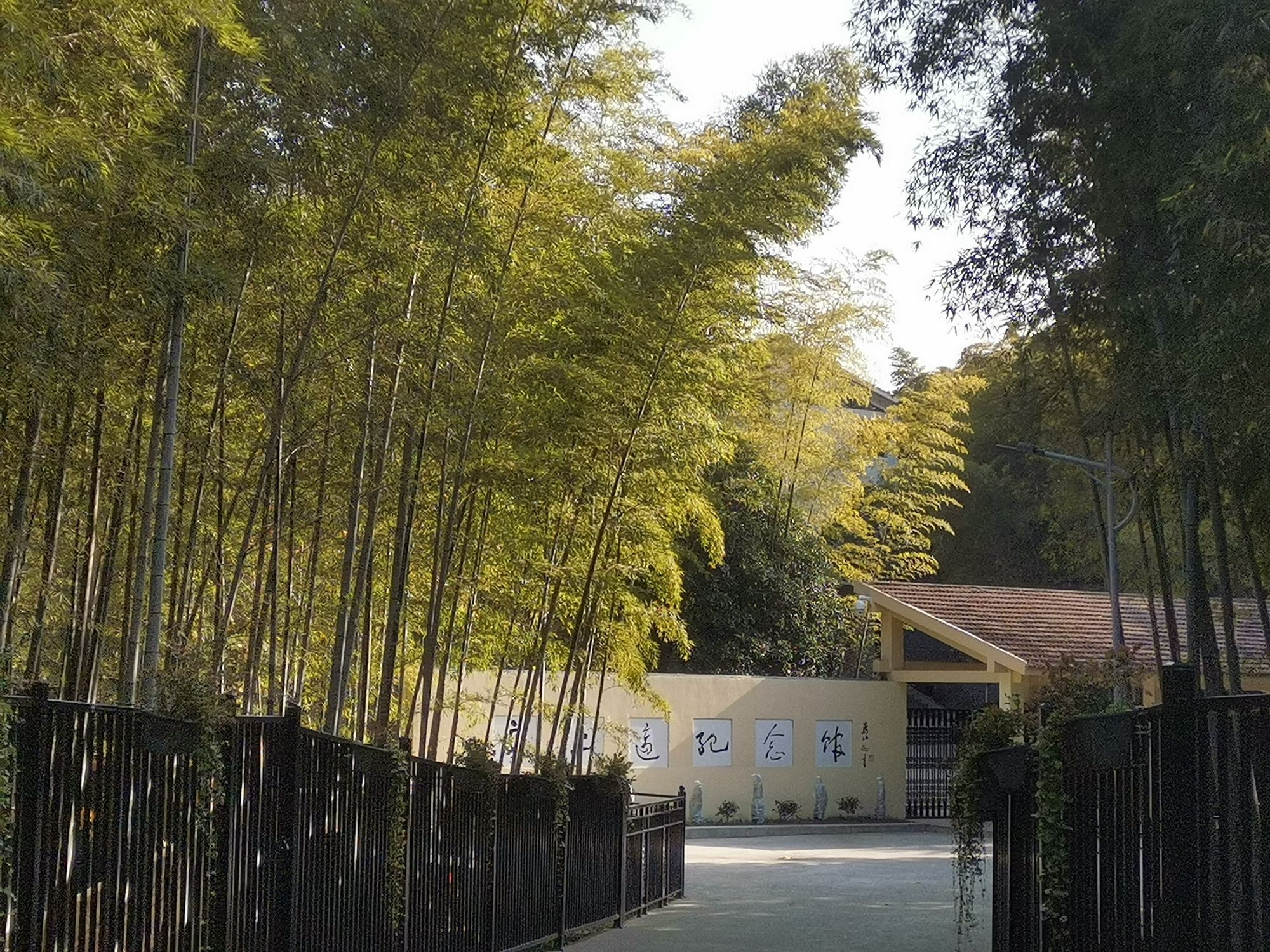 求雨山文化公园旅行图片 3