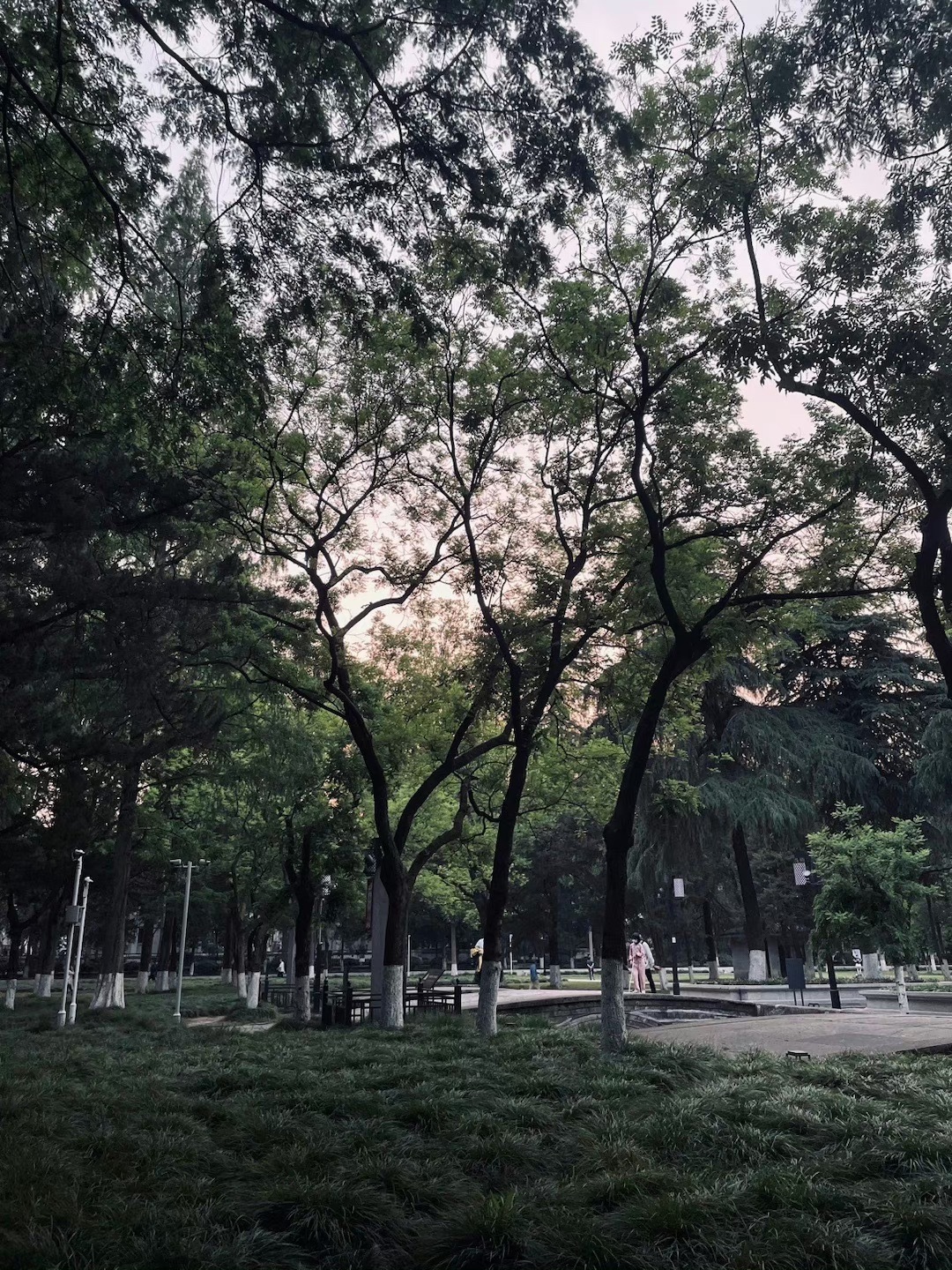 午朝门公园旅行图片 3