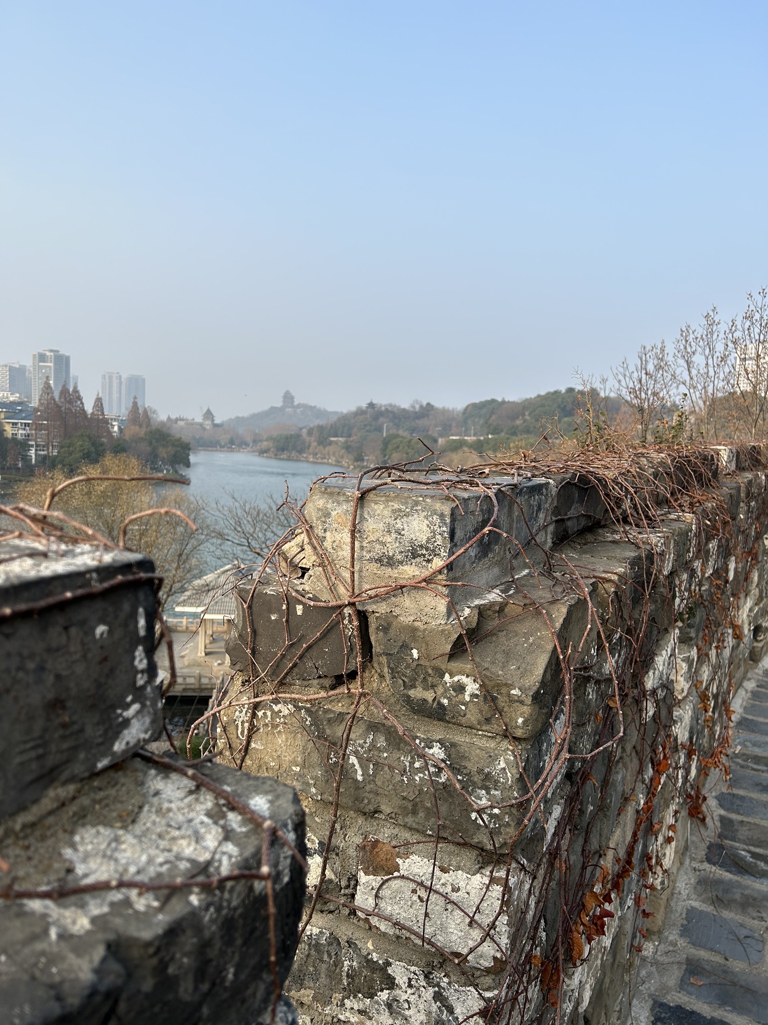 挹江门旅行图片 2