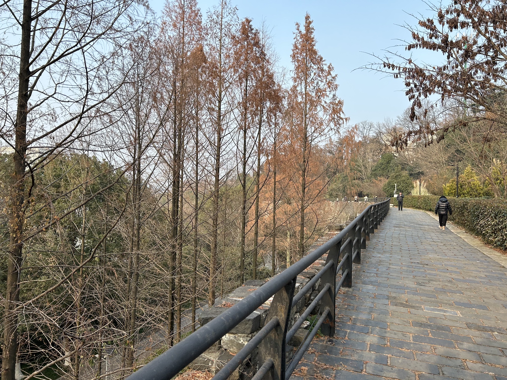 挹江门旅行图片 1