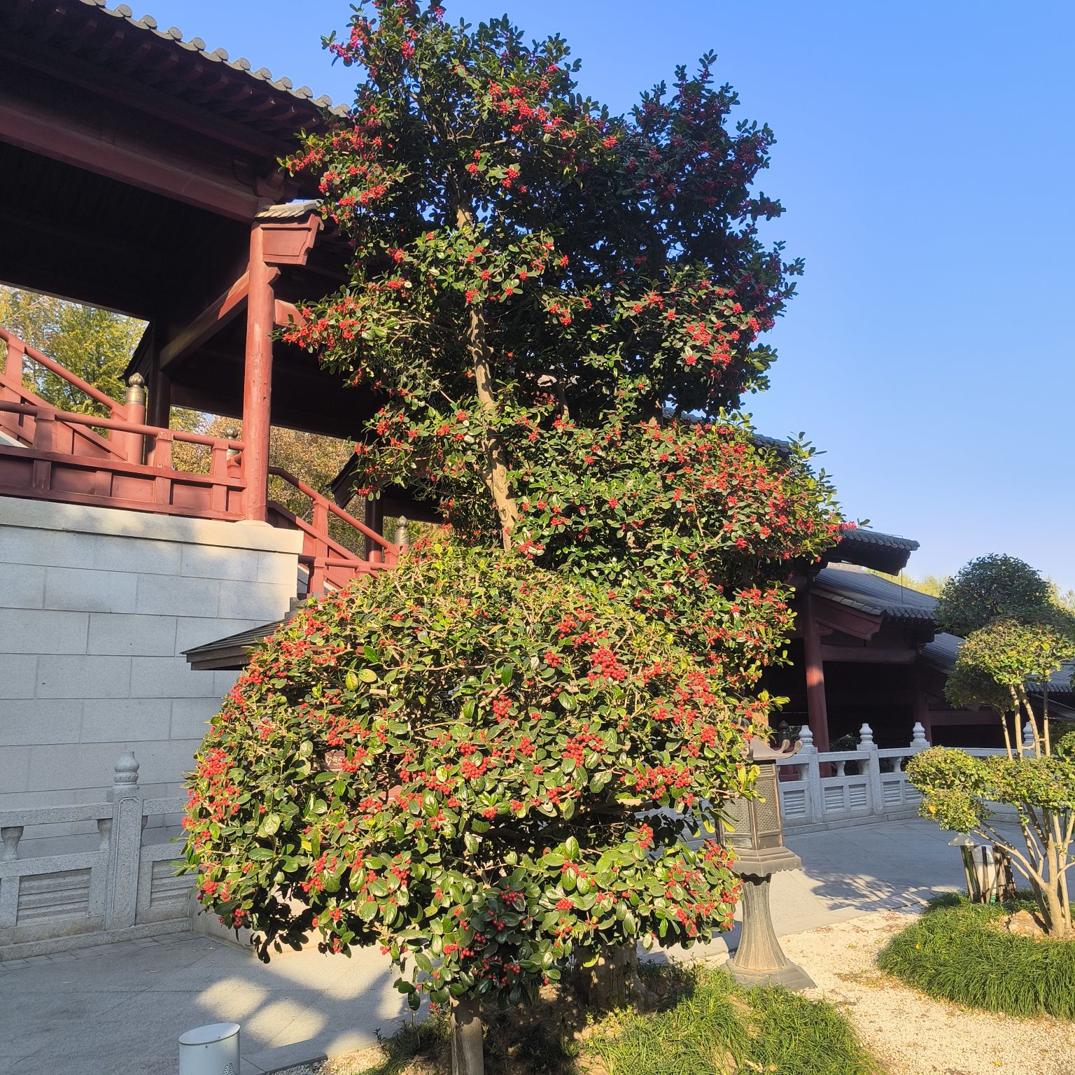 南京牛首山文化旅游区旅行图片 3