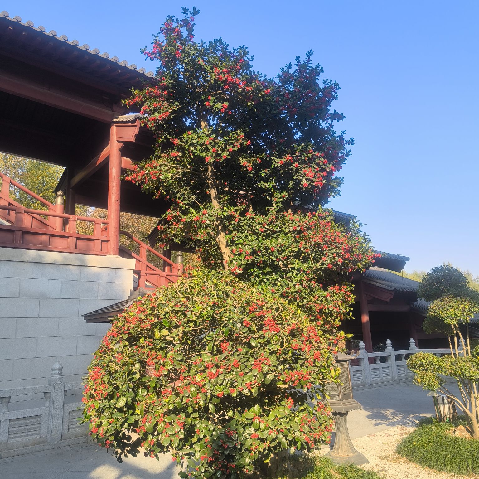 南京牛首山文化旅游区旅行图片 2