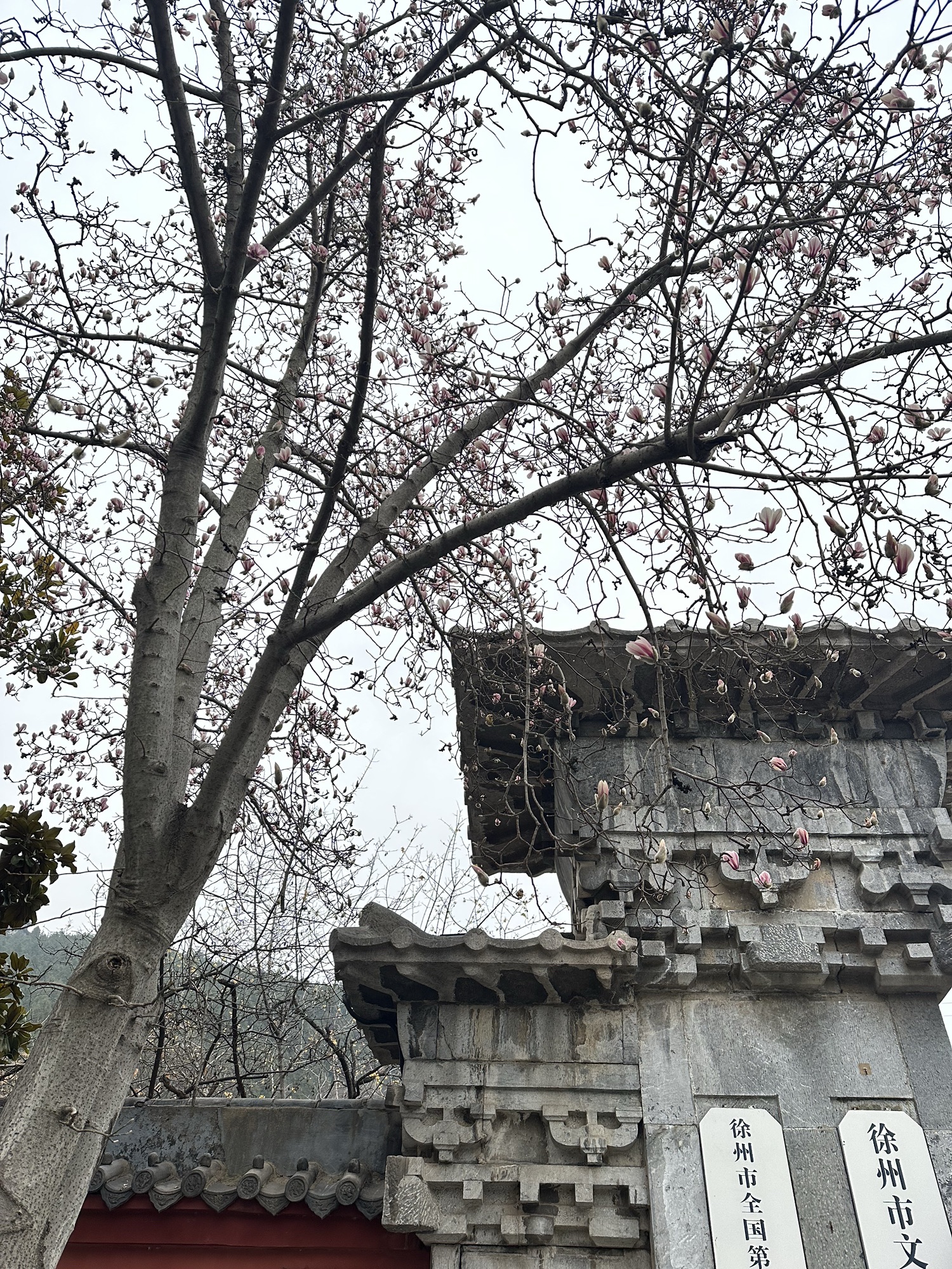 南京牛首山文化旅游区旅行图片 3