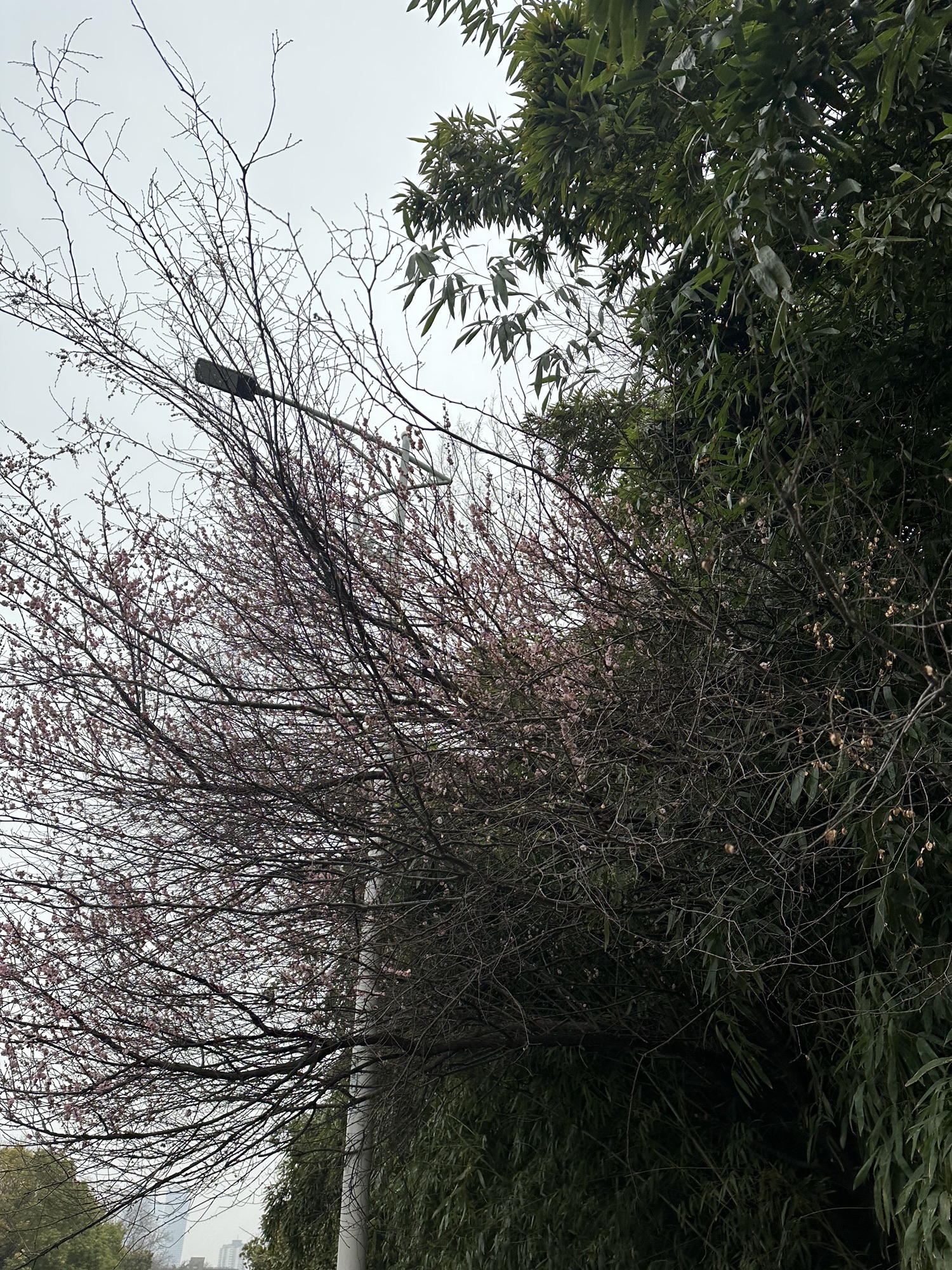 南京牛首山文化旅游区旅行图片 1