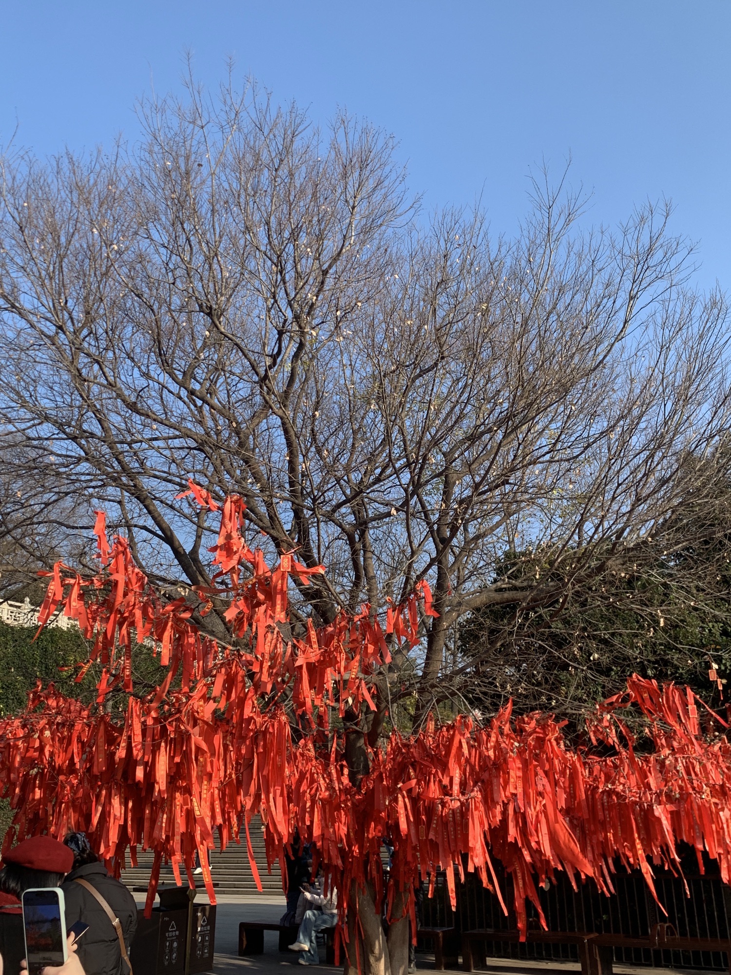 南京牛首山文化旅游区旅行图片 3