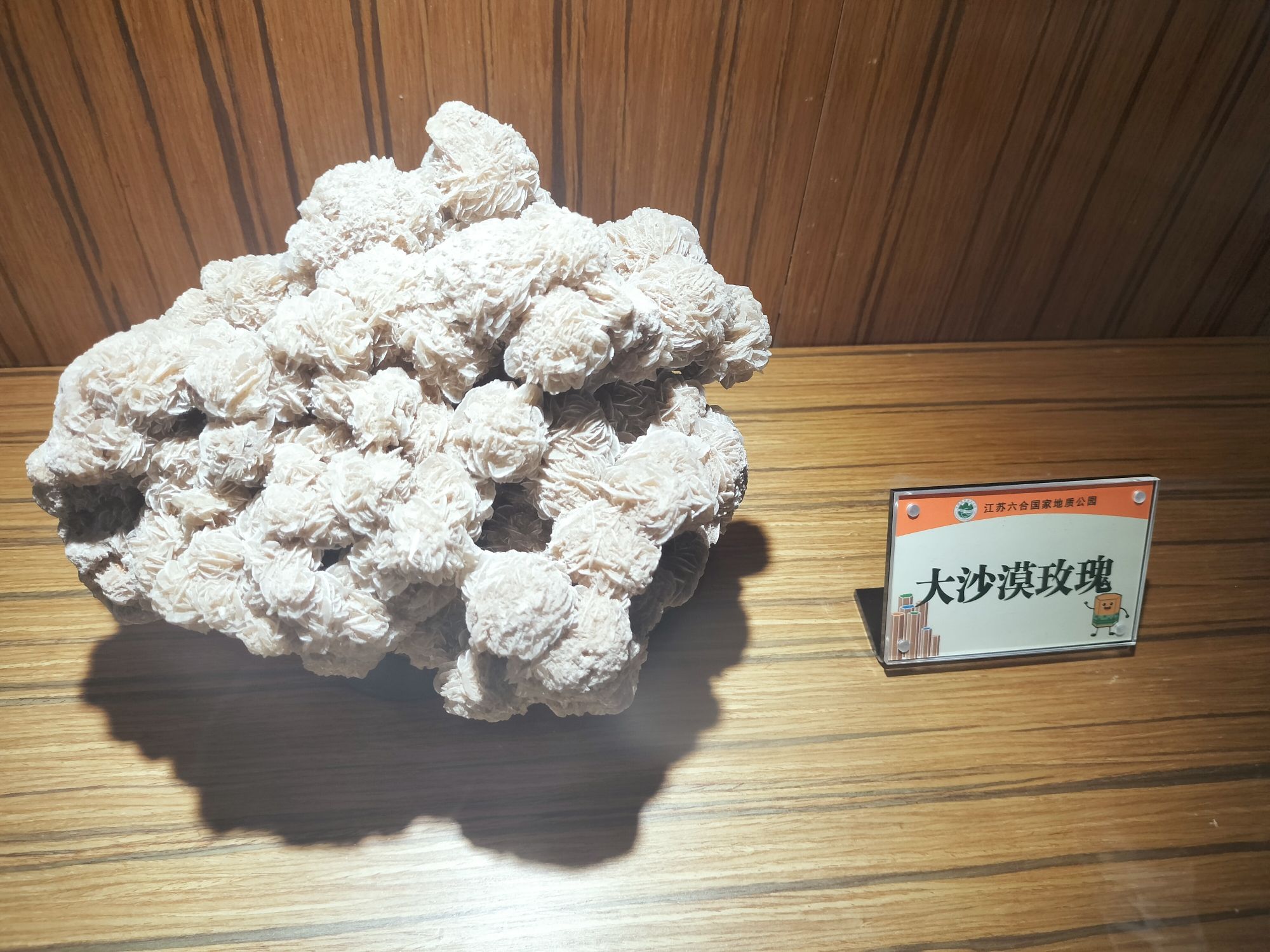 南京石柱林旅行图片 2