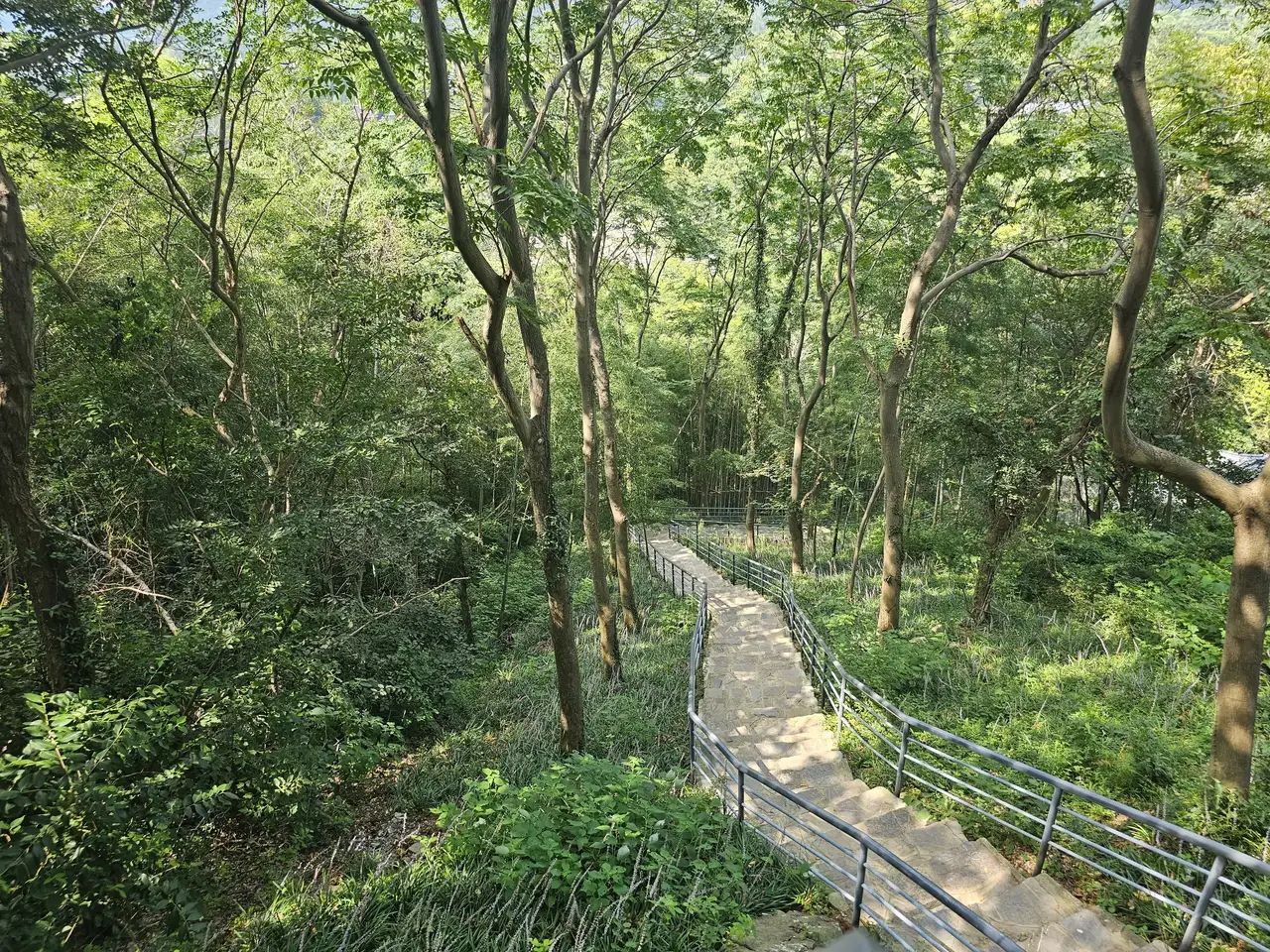 汤山风景区旅行图片 1