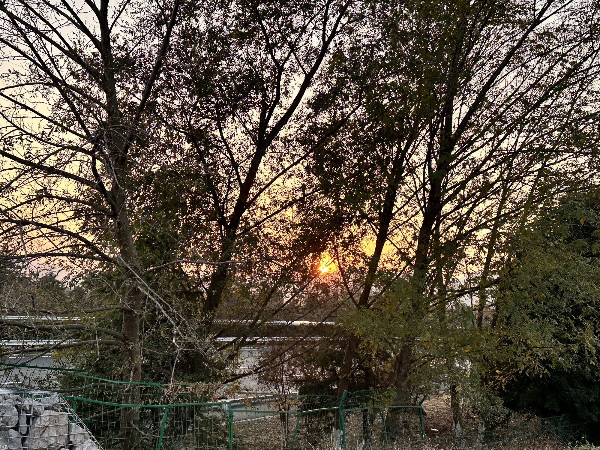 汤山风景区旅行图片 2