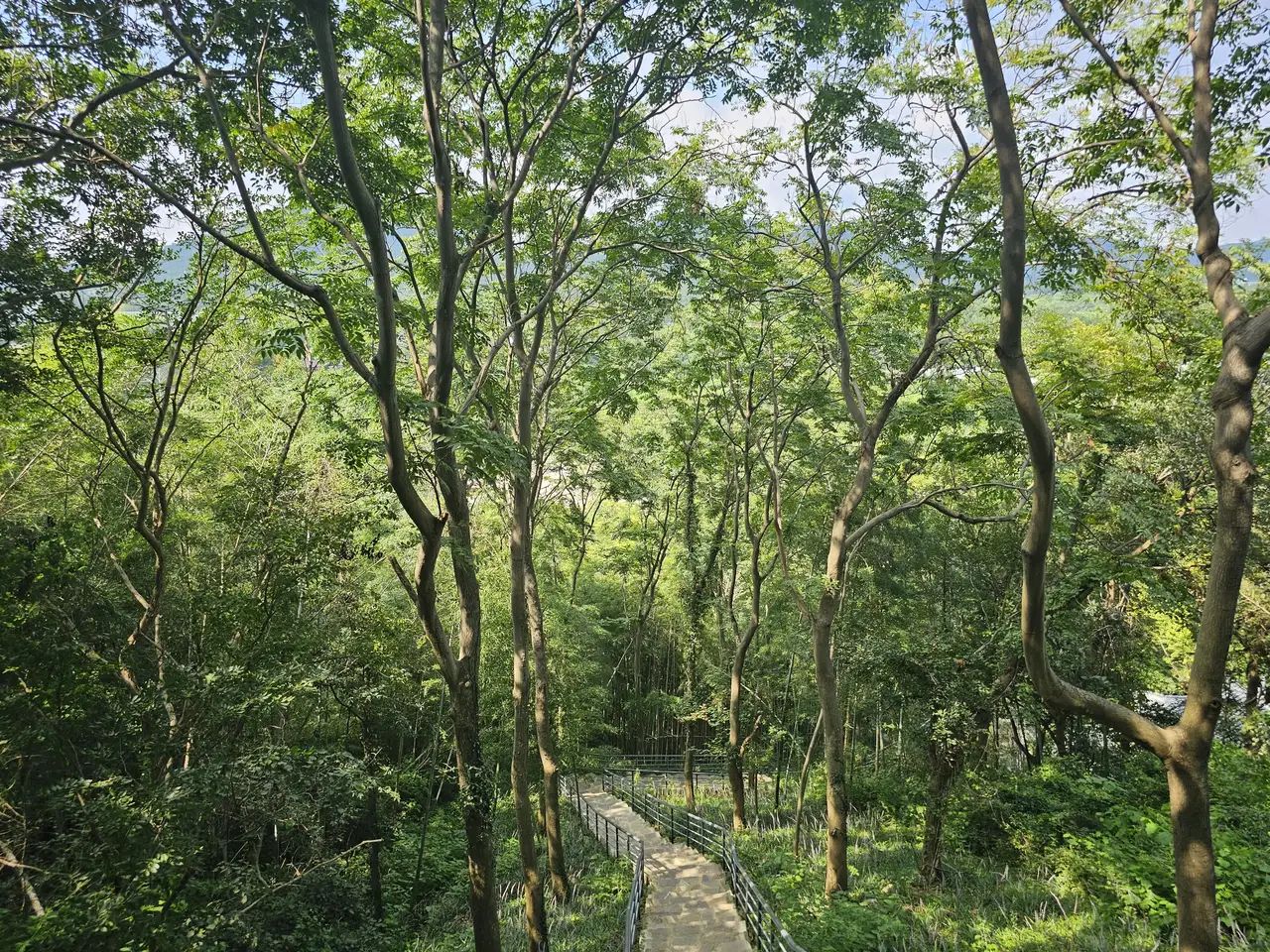 汤山风景区旅行图片 2