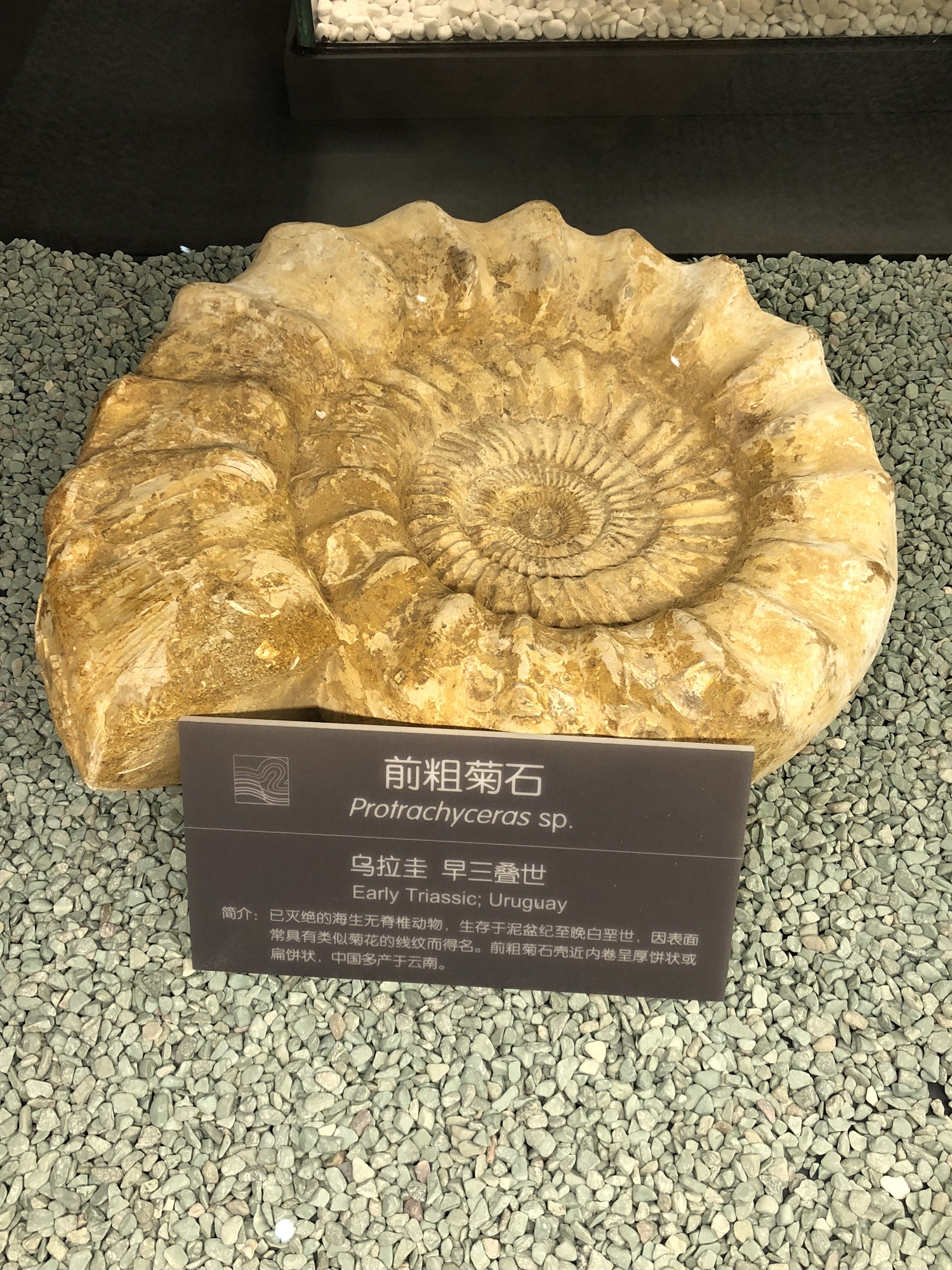 汤山风景区旅行图片 3