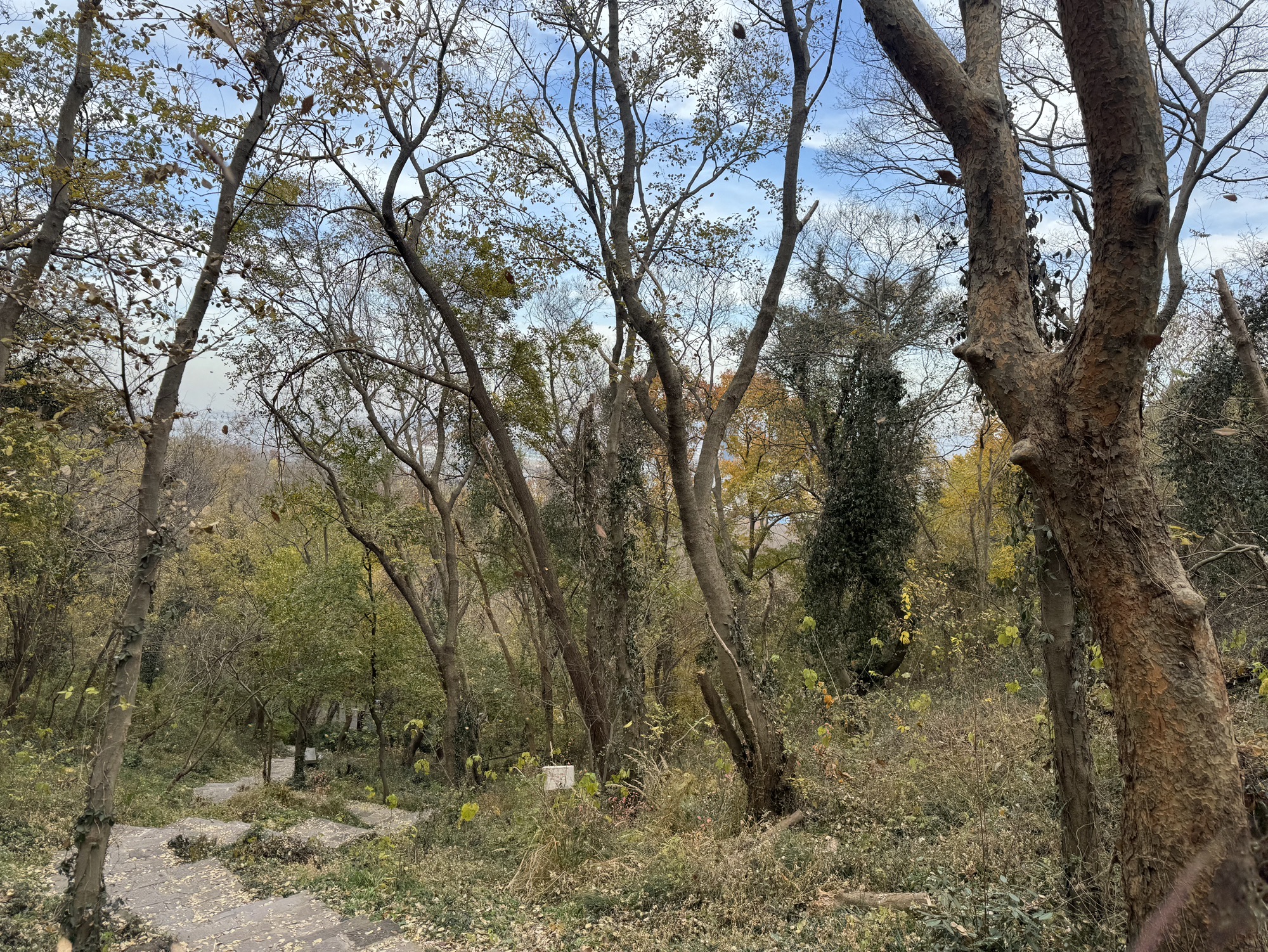 方山风景区旅行图片 2