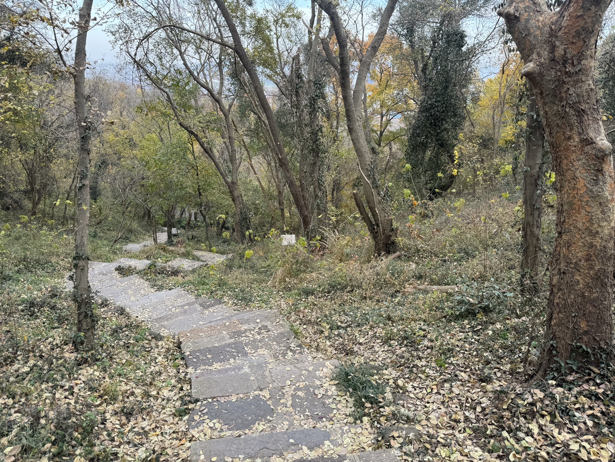 方山风景区旅行图片 1