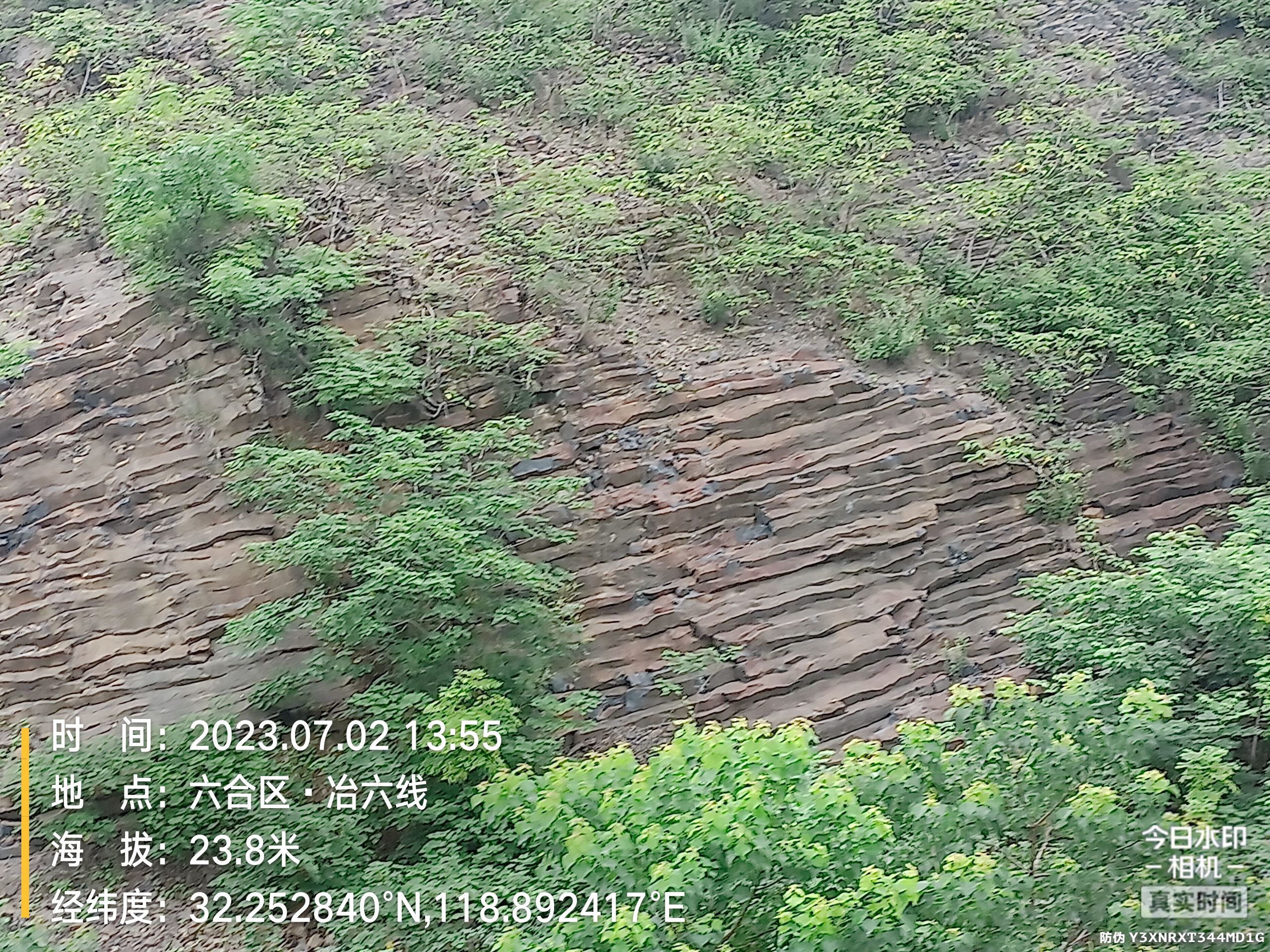 瓜埠山火山石林景区旅行图片 3