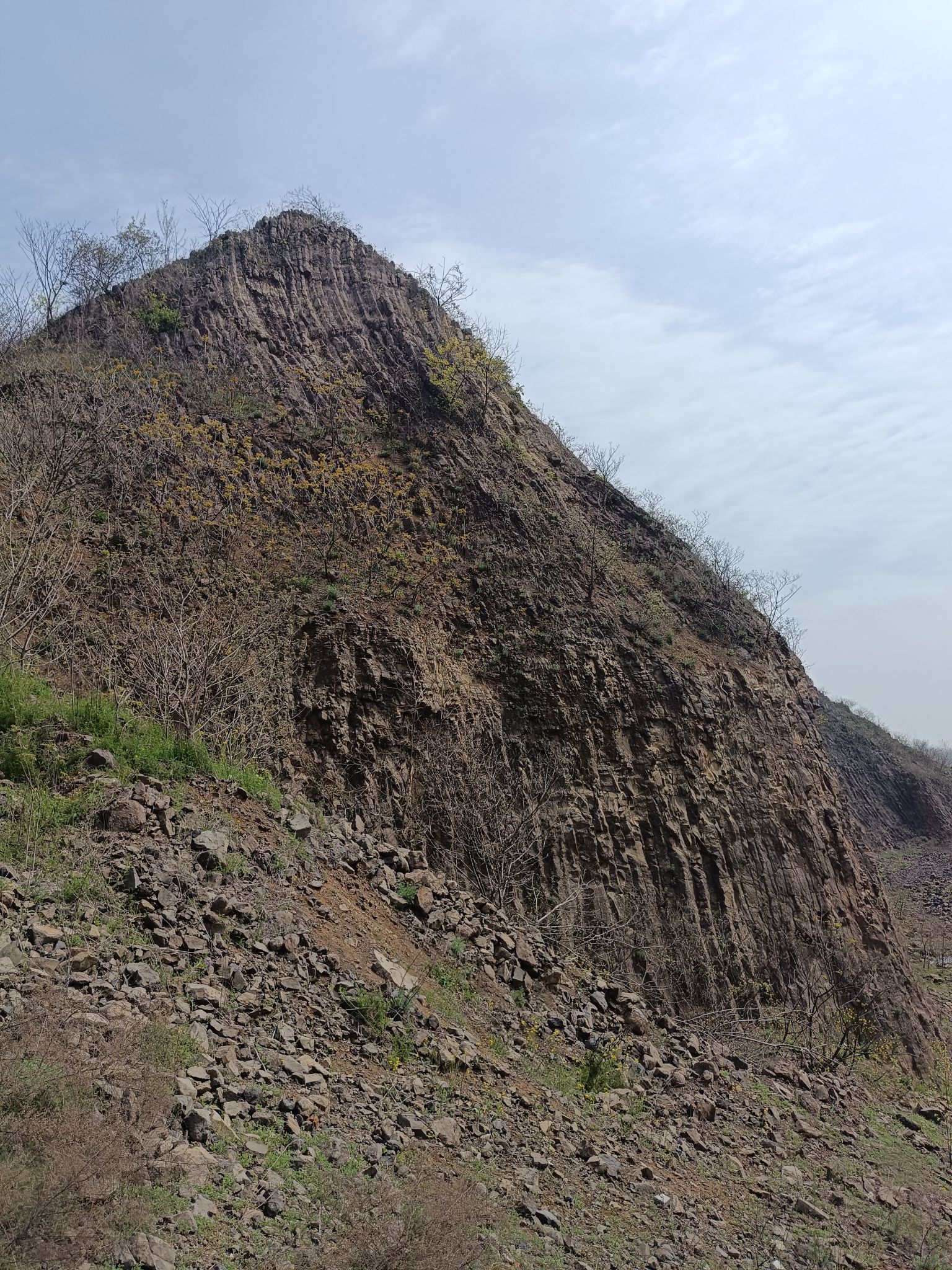 瓜埠山火山石林景区旅行图片 3