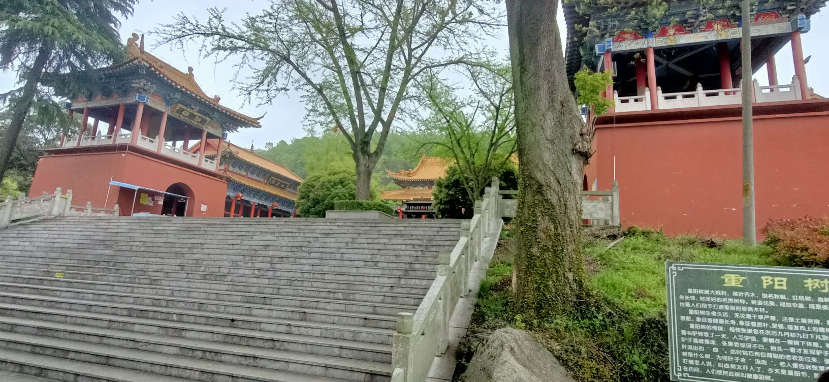 灵岩山风景区旅行图片 2