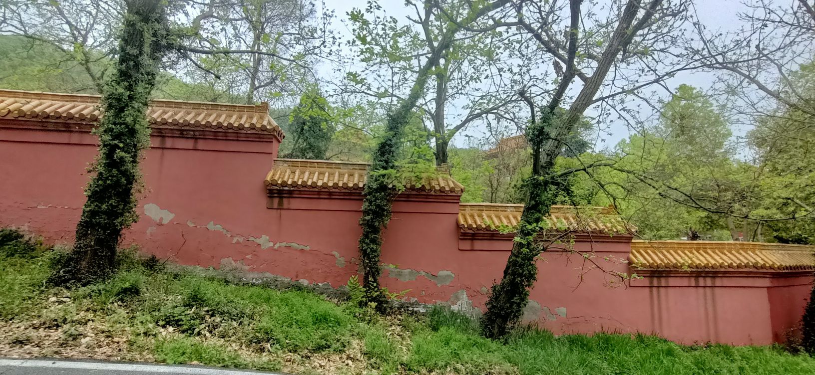 灵岩山风景区旅行图片 3