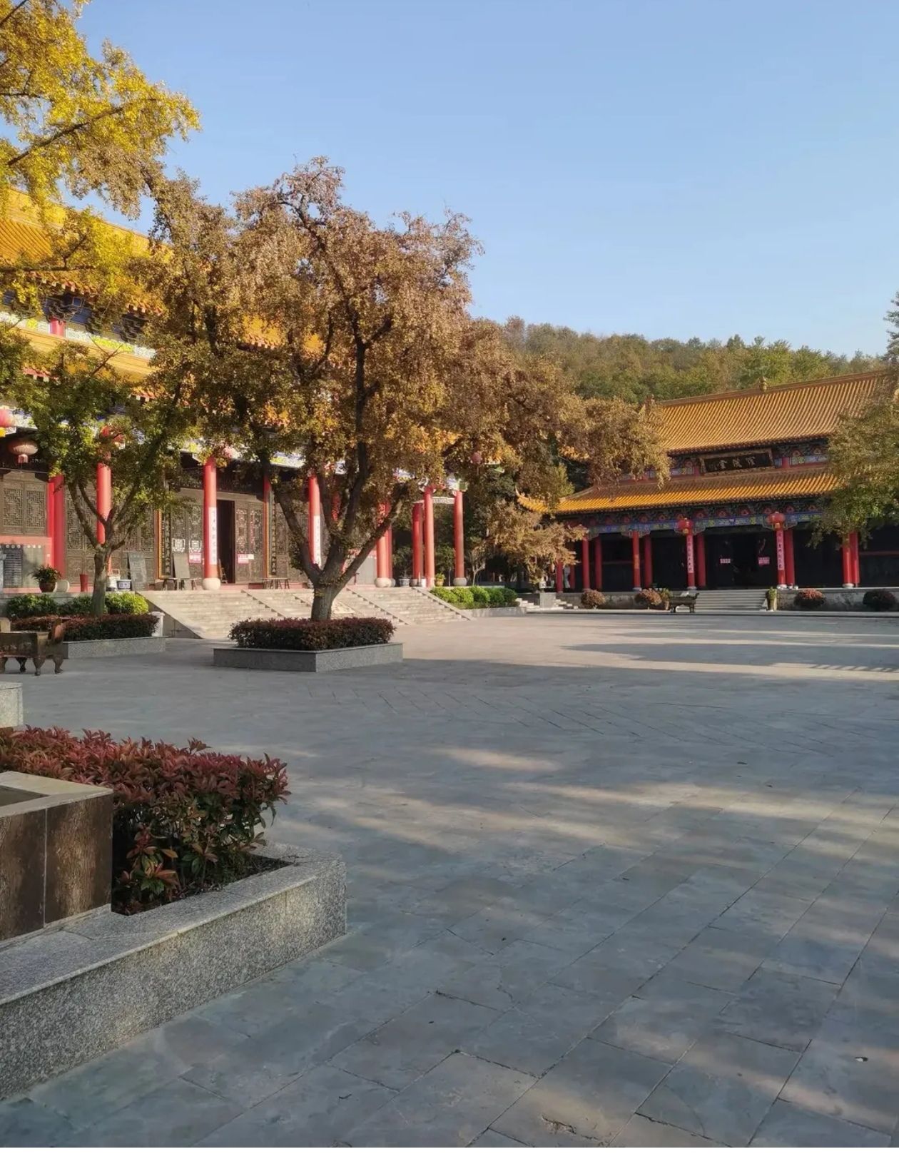 灵岩山风景区旅行图片 3