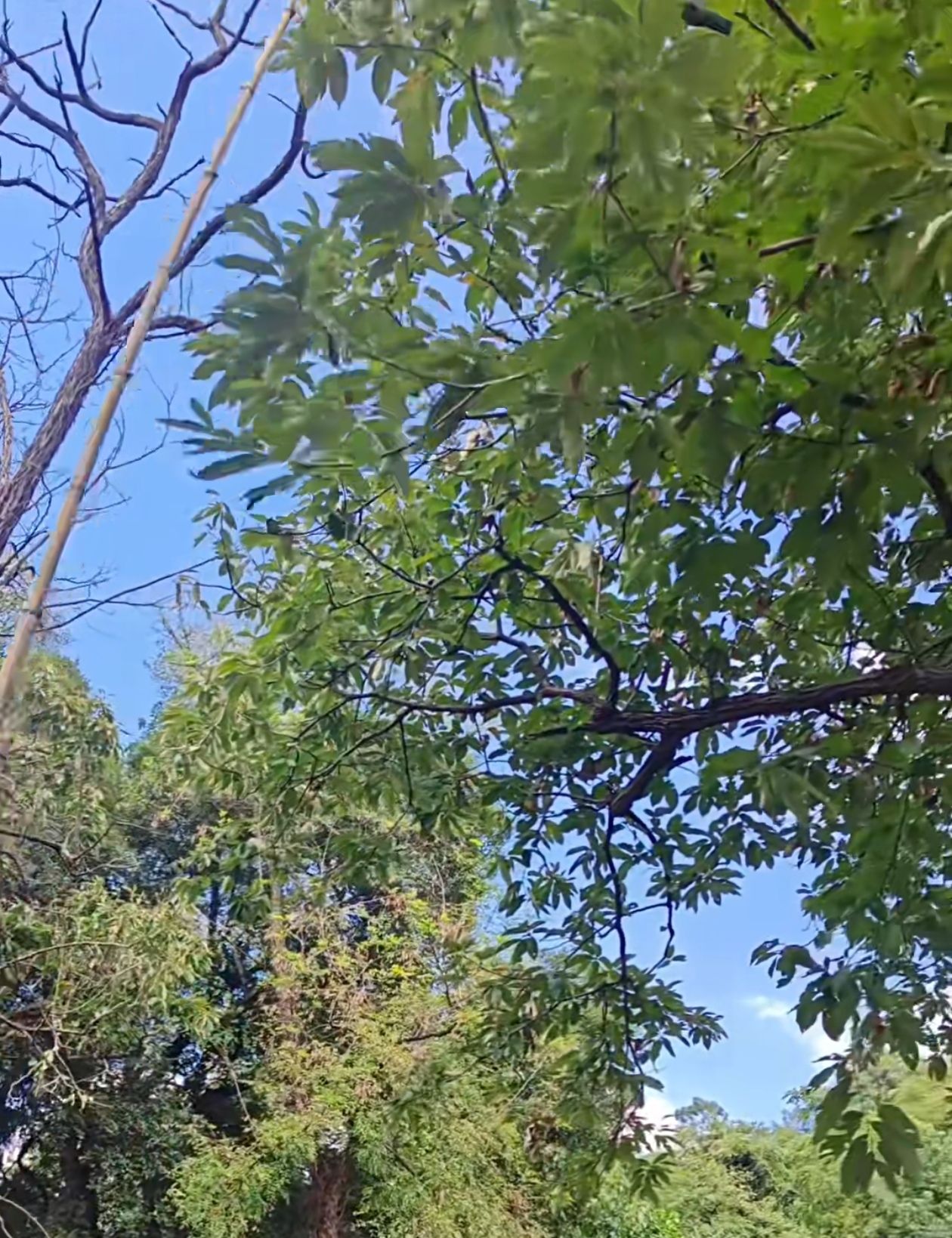 灵岩山风景区旅行图片 2