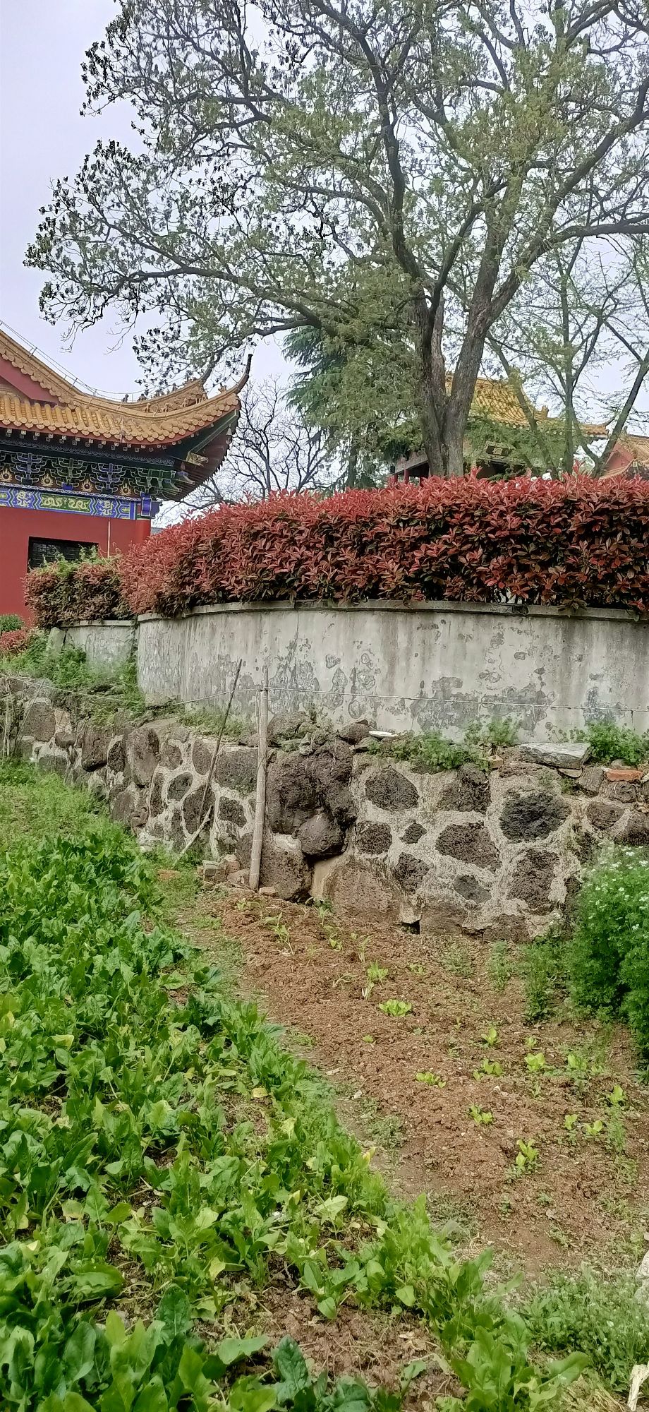 灵岩山风景区旅行图片 1