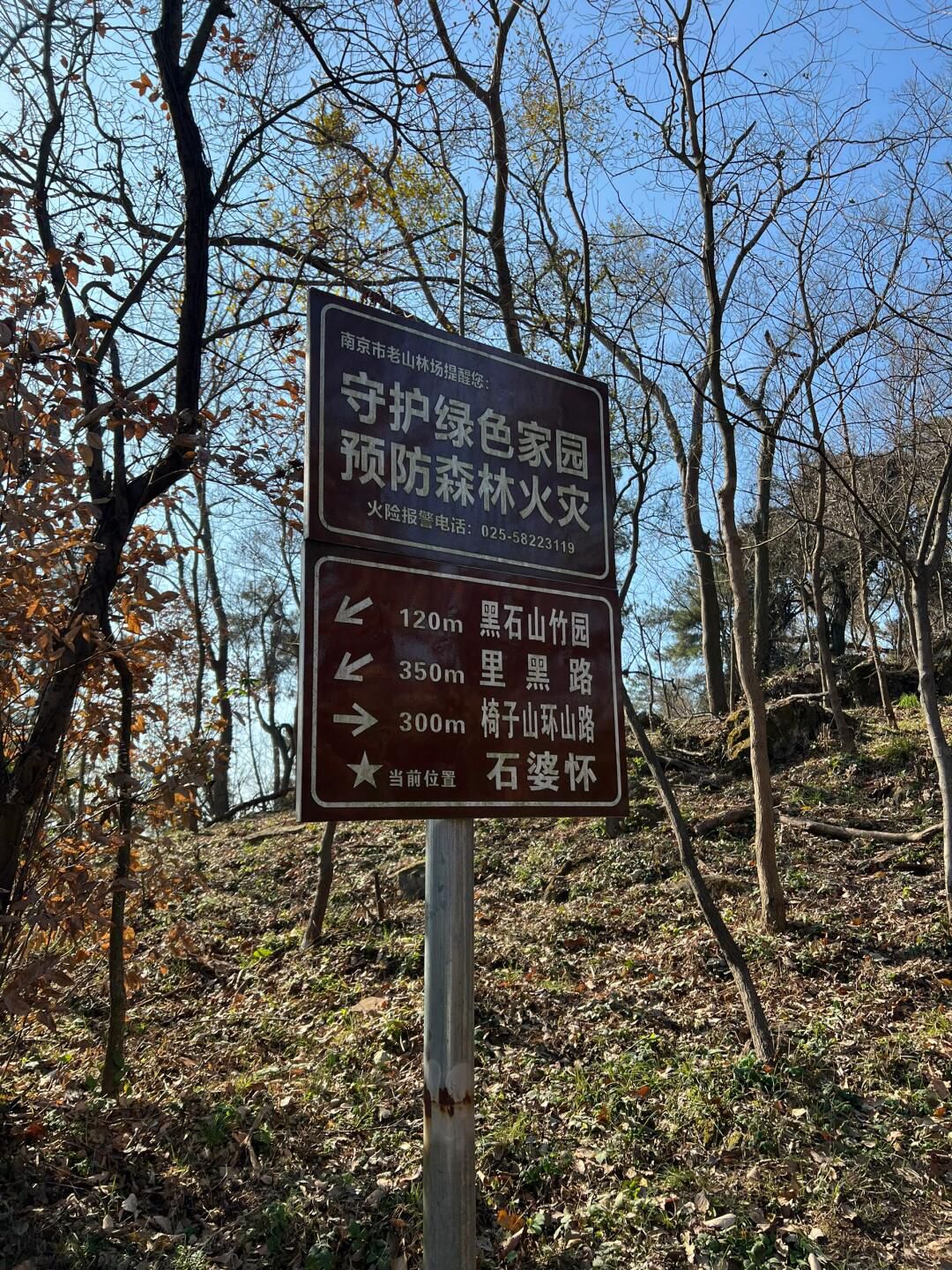 南京老山国家森林公园旅行图片 1