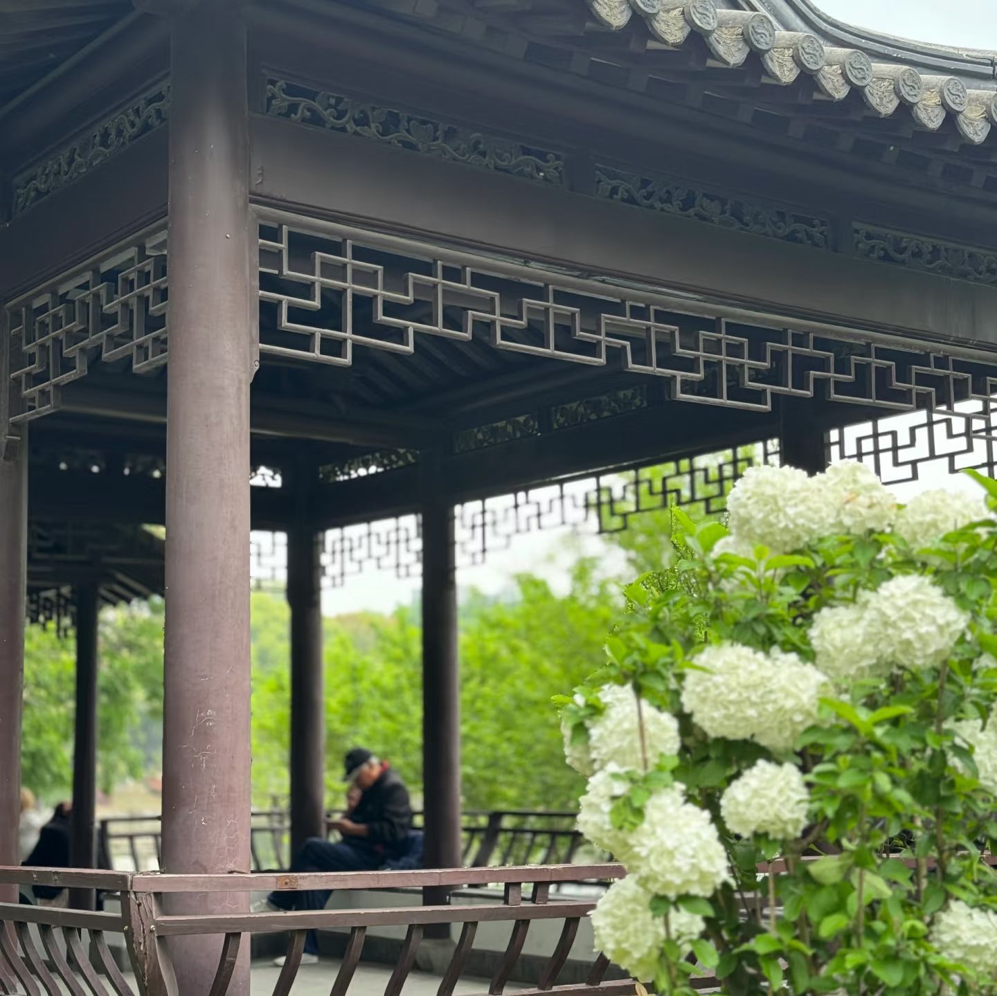 八字山公园旅行图片 2