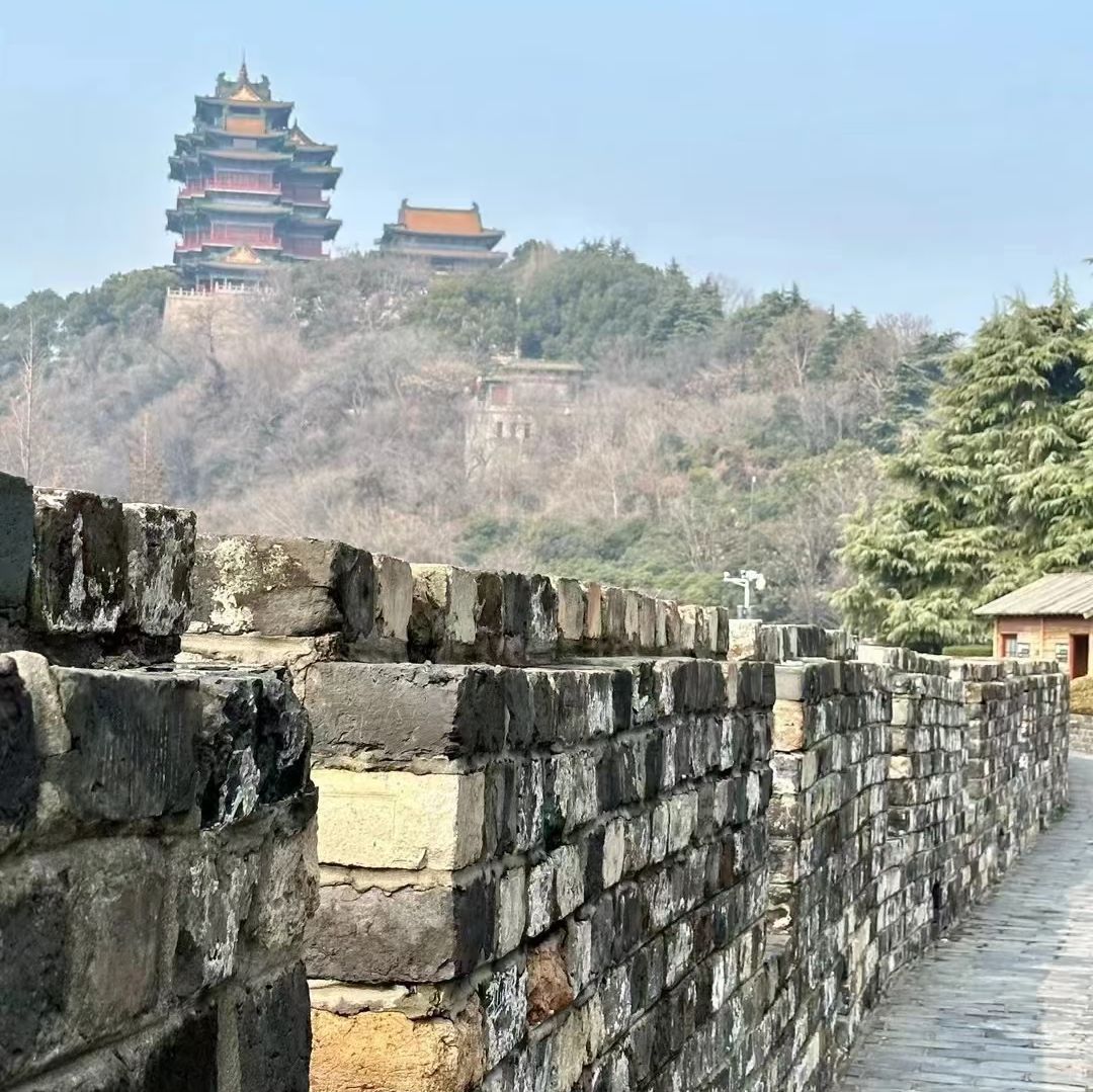 八字山公园旅行图片 3