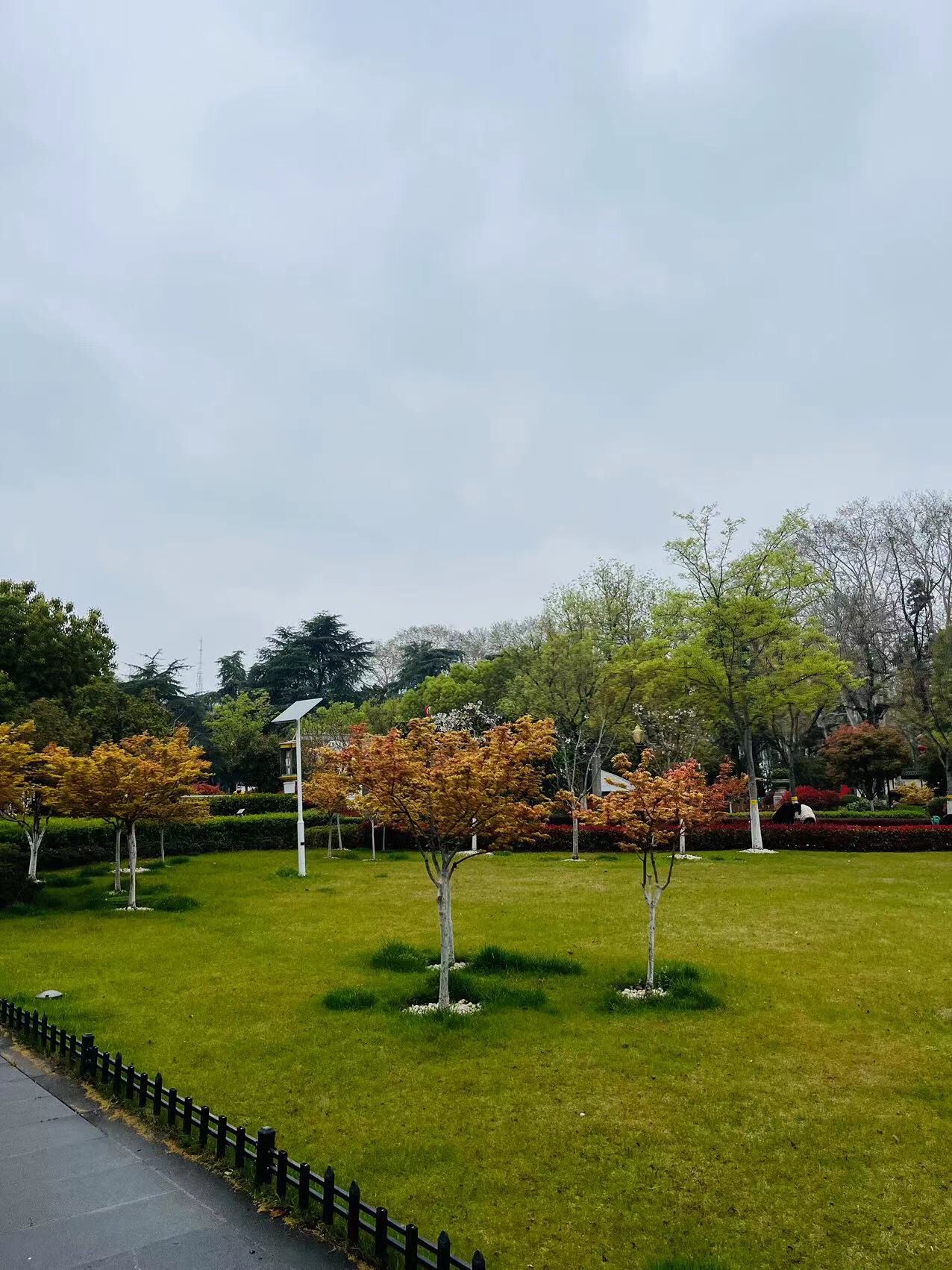 和平公园旅行图片 2